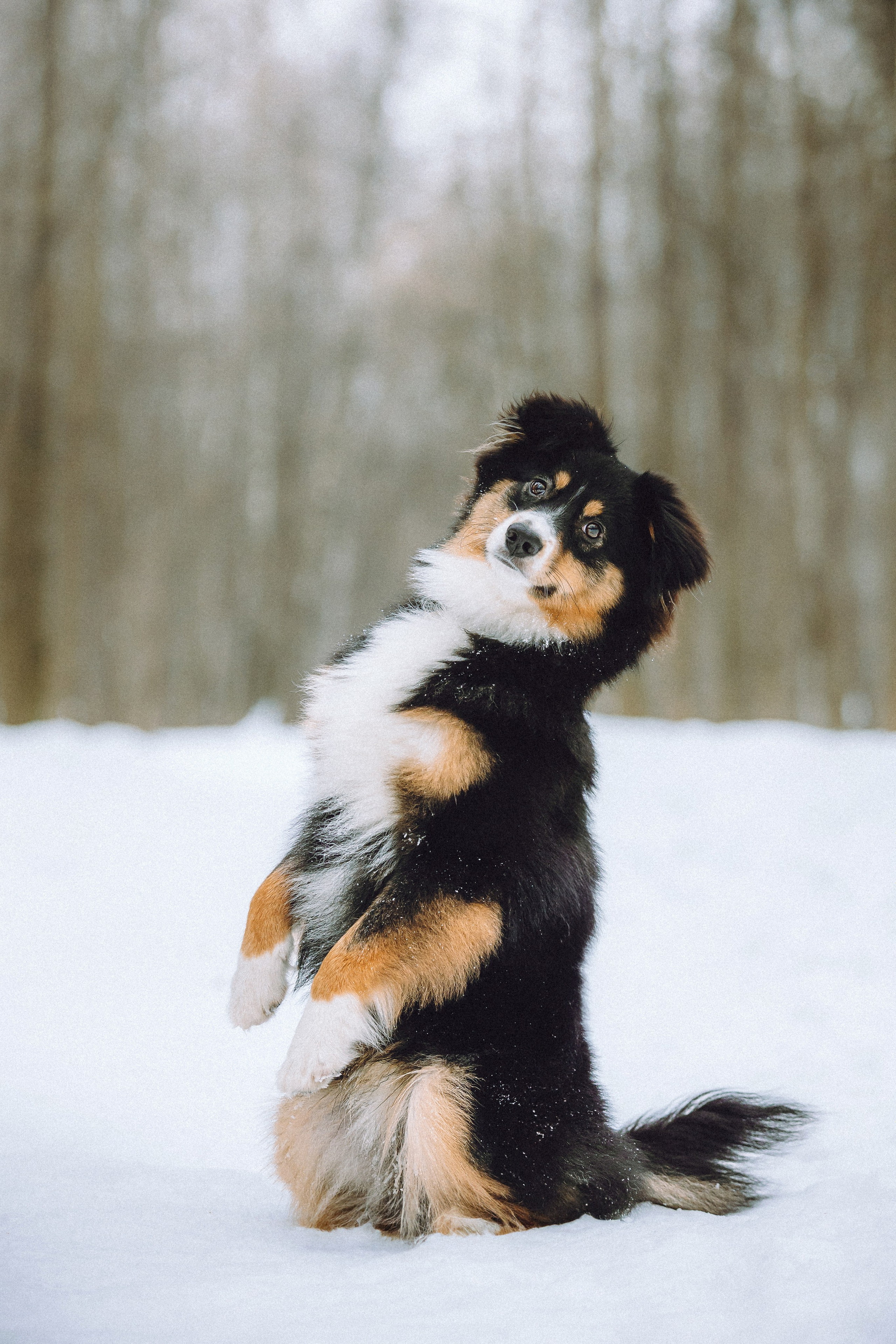 Таня, Ваня и Гром