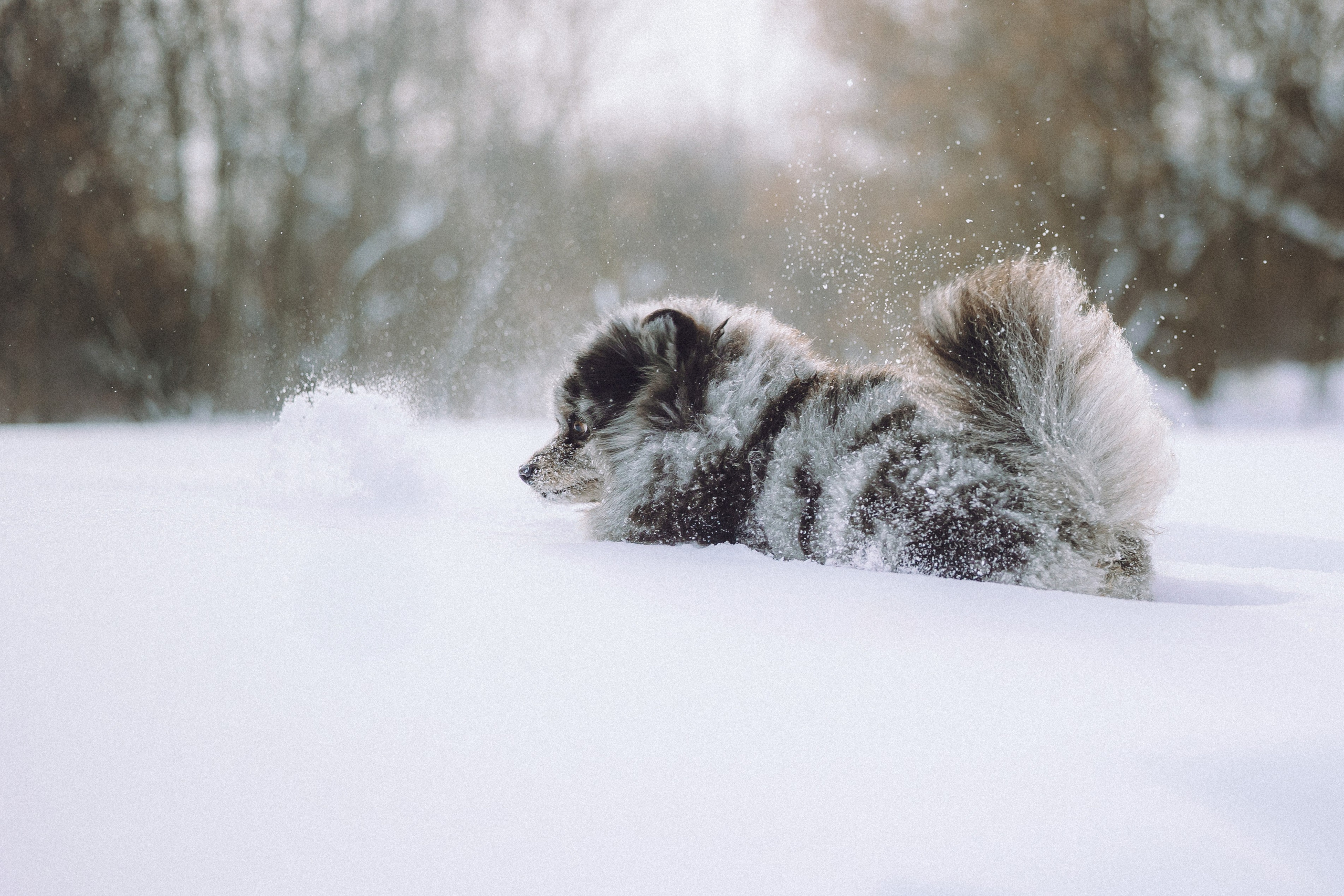 Любава и Марс