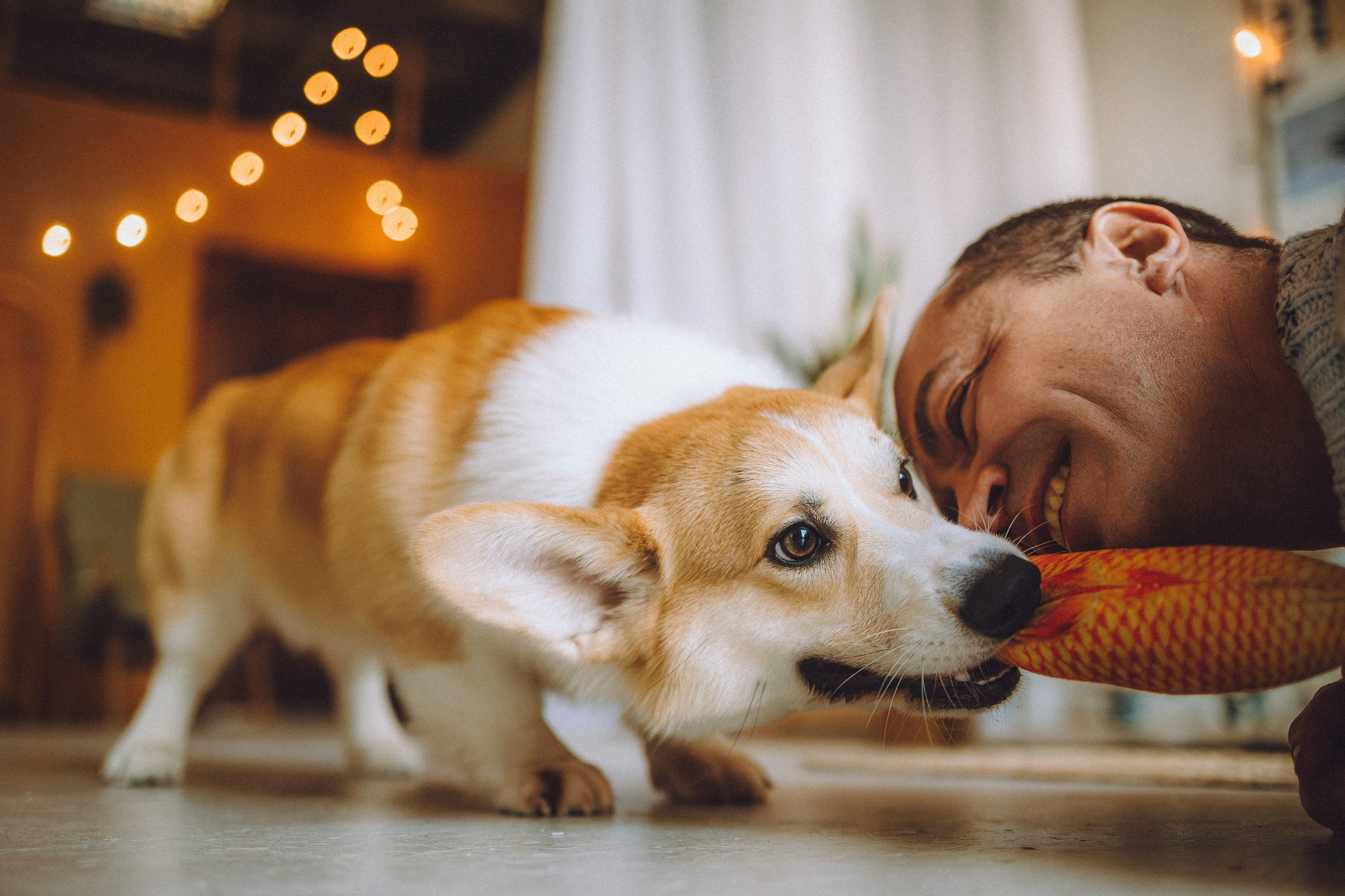 Наталья, Евгений и Мерлин