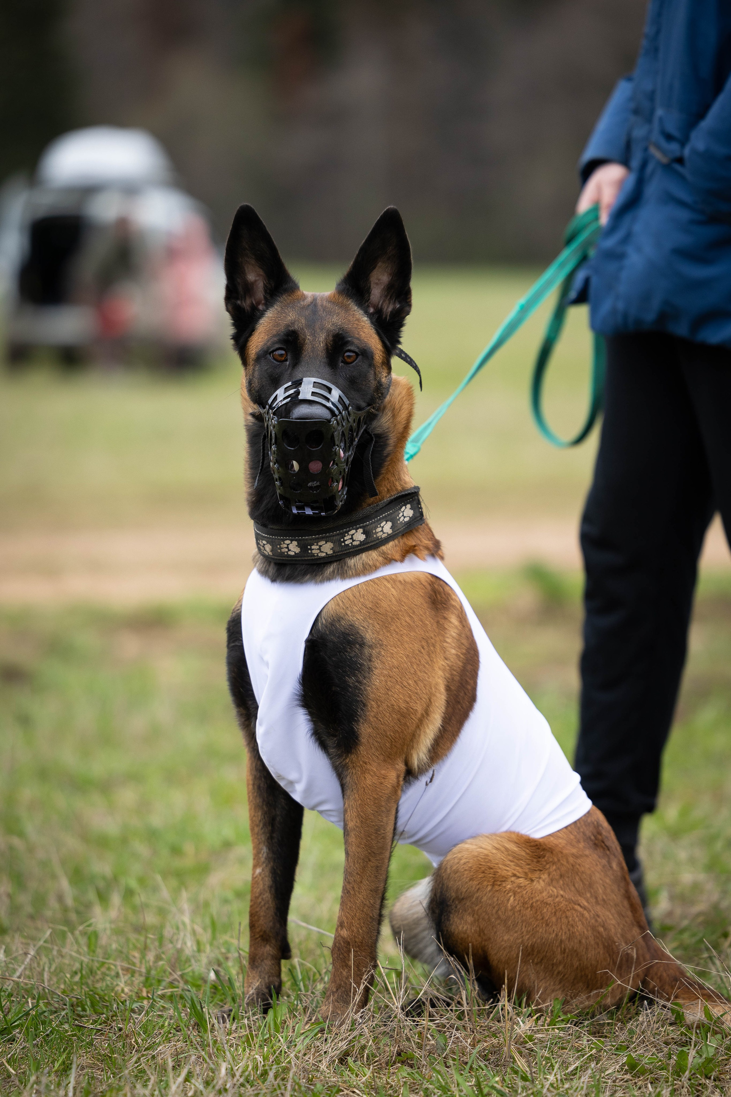Курсинг. Фотограф Анималист в Перми Анастасия Остерман