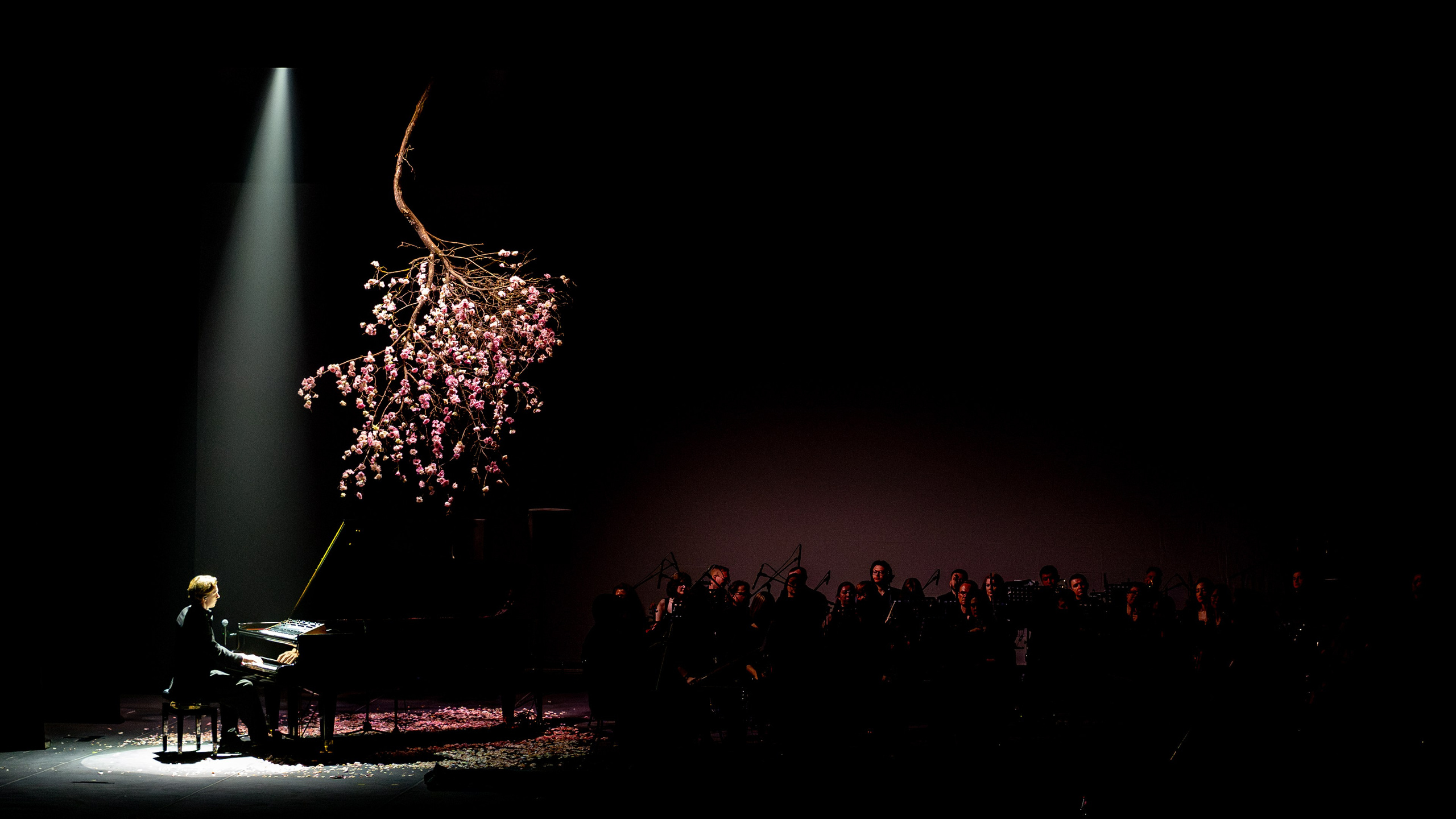 Никола Мельников / 2024. OOPS