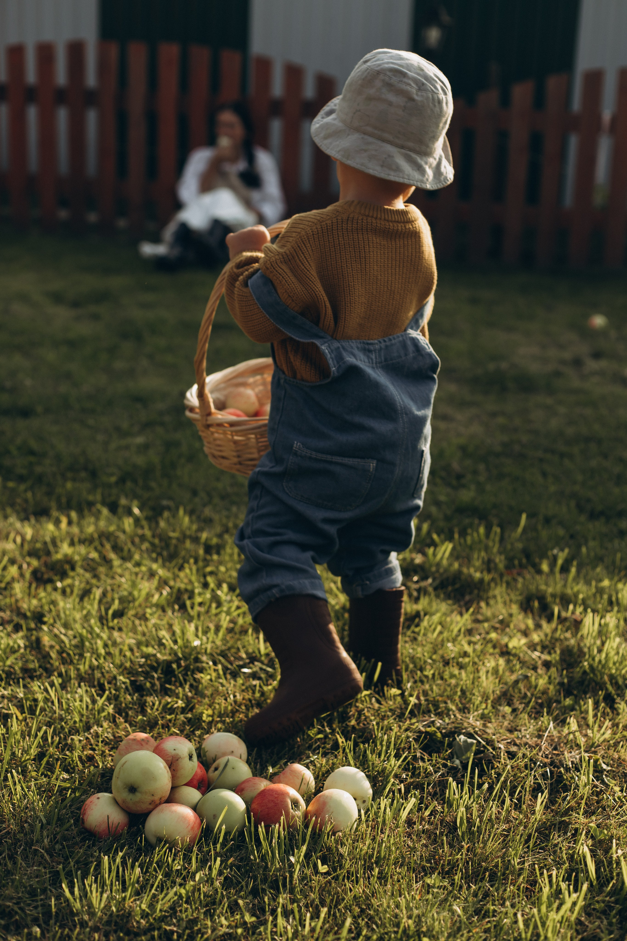 Морковная история 🥕🧡. Услуги
