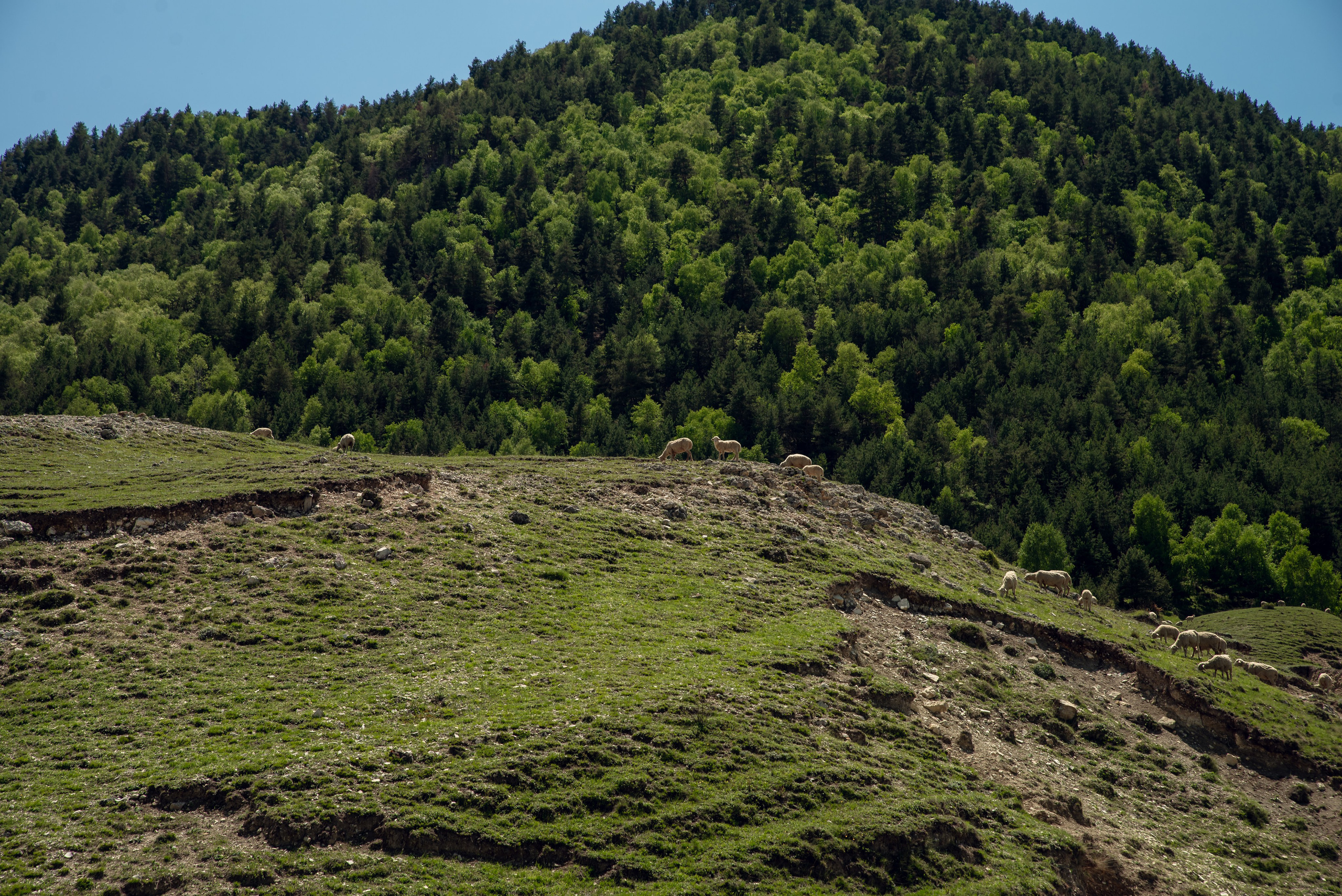 Дагестан. Фотограф Крещение Венчание Москва