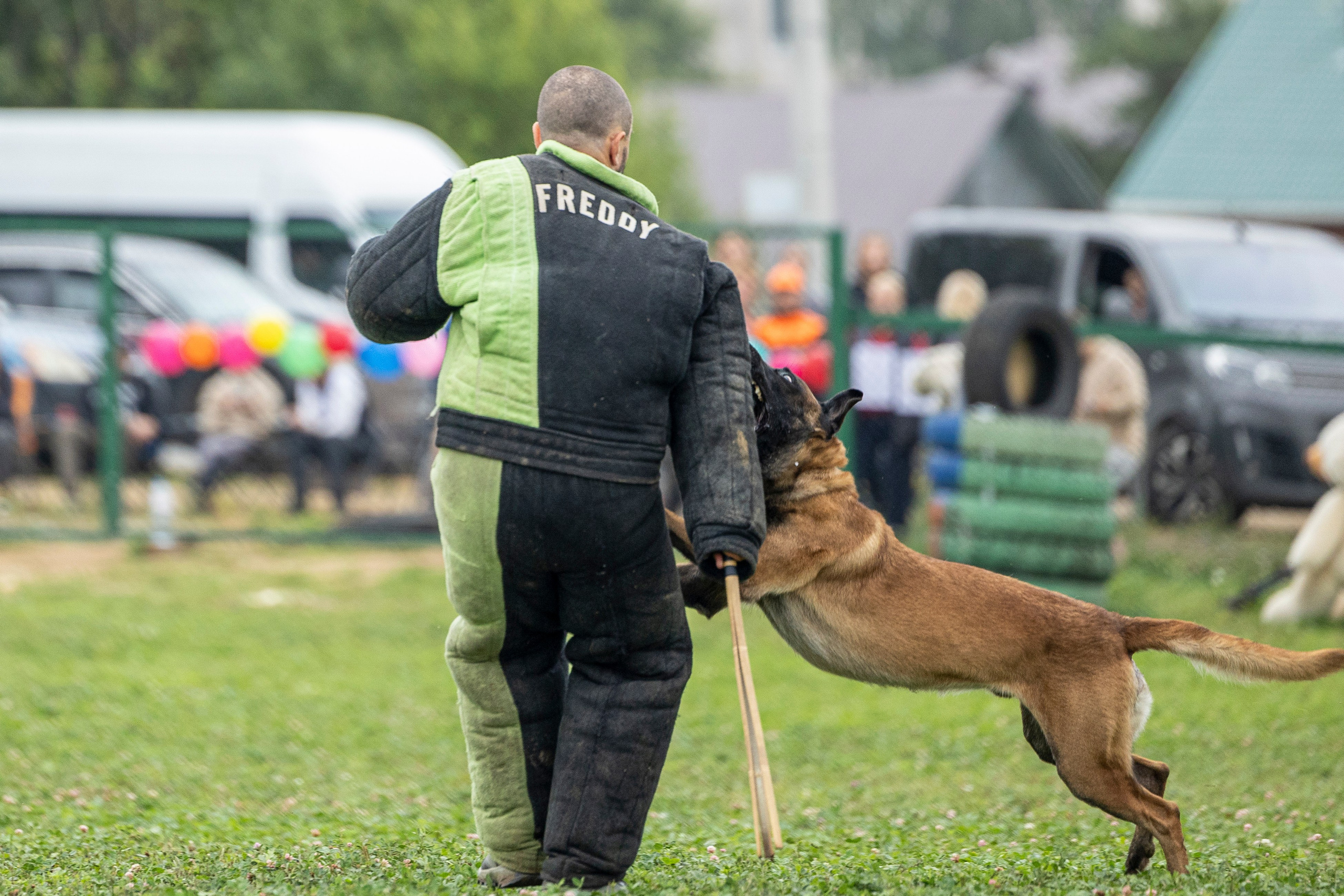 Соревнования по Мондьорингу г. Вологда 10-11.08.2024. Фотограф-анималист Анна Маринич