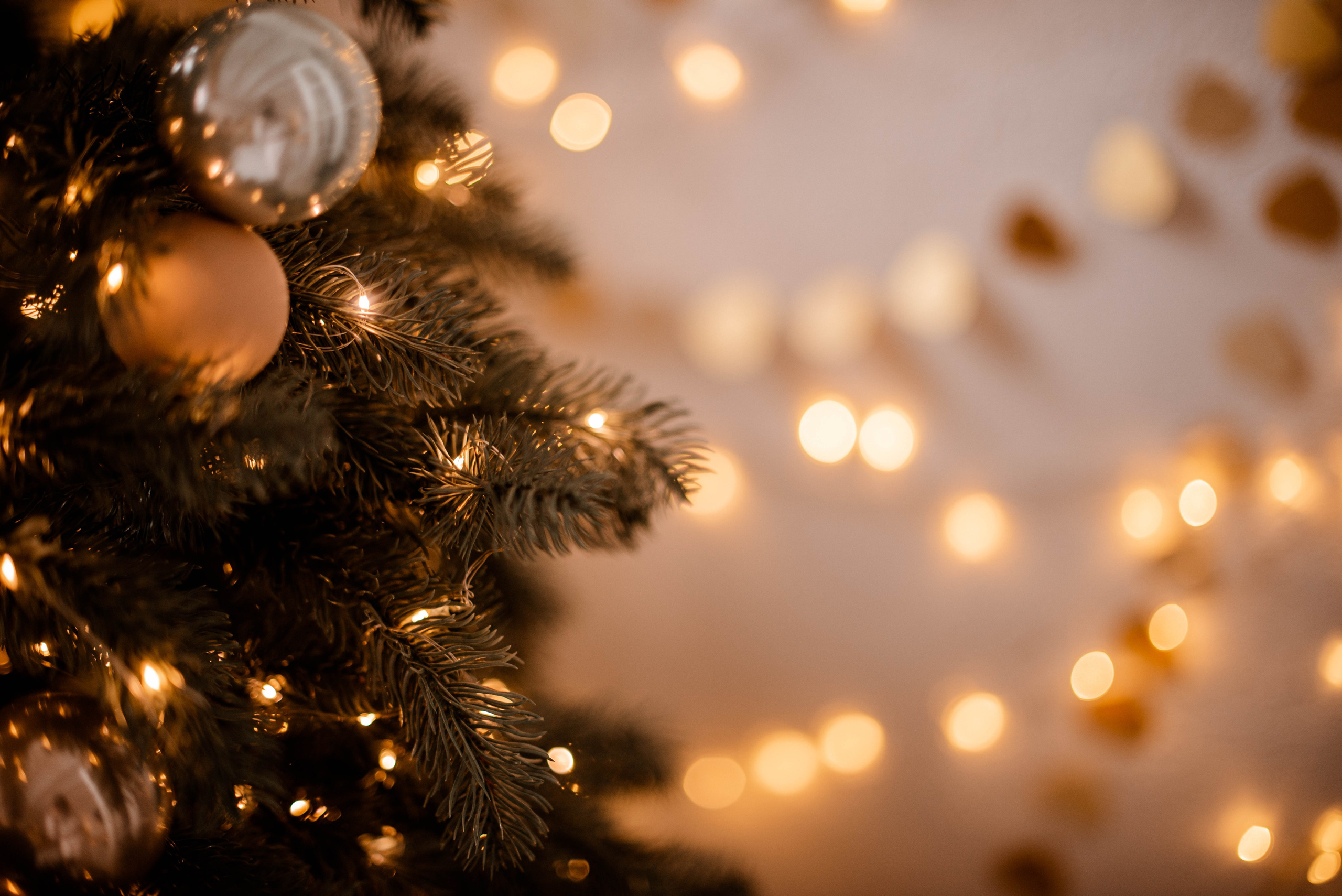 Семья. Свадебный Фотограф в Твери Анастасия Булкина