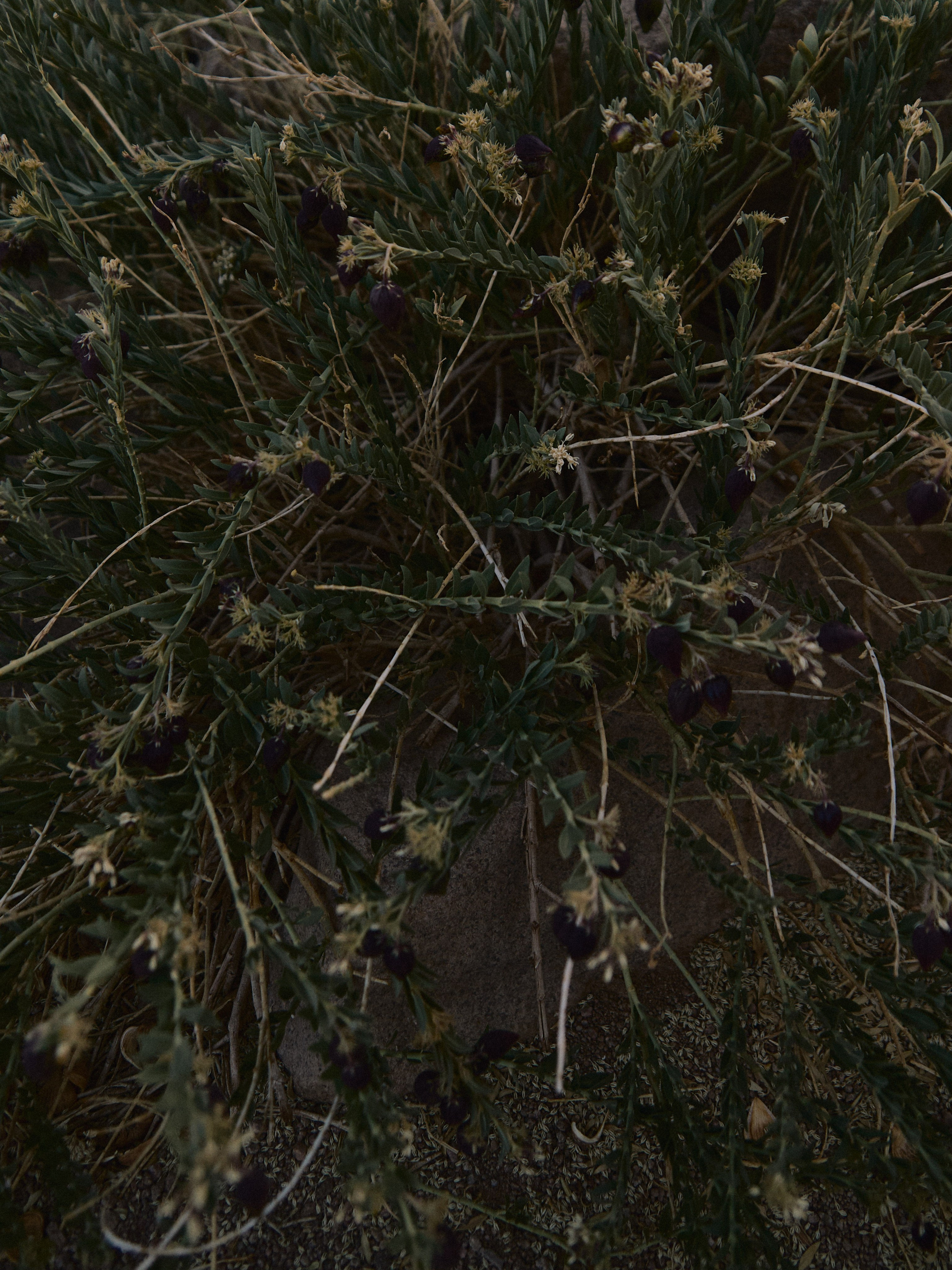 Природа. Jorgis Talè — photographer, kind person, teacher of arts and other mag