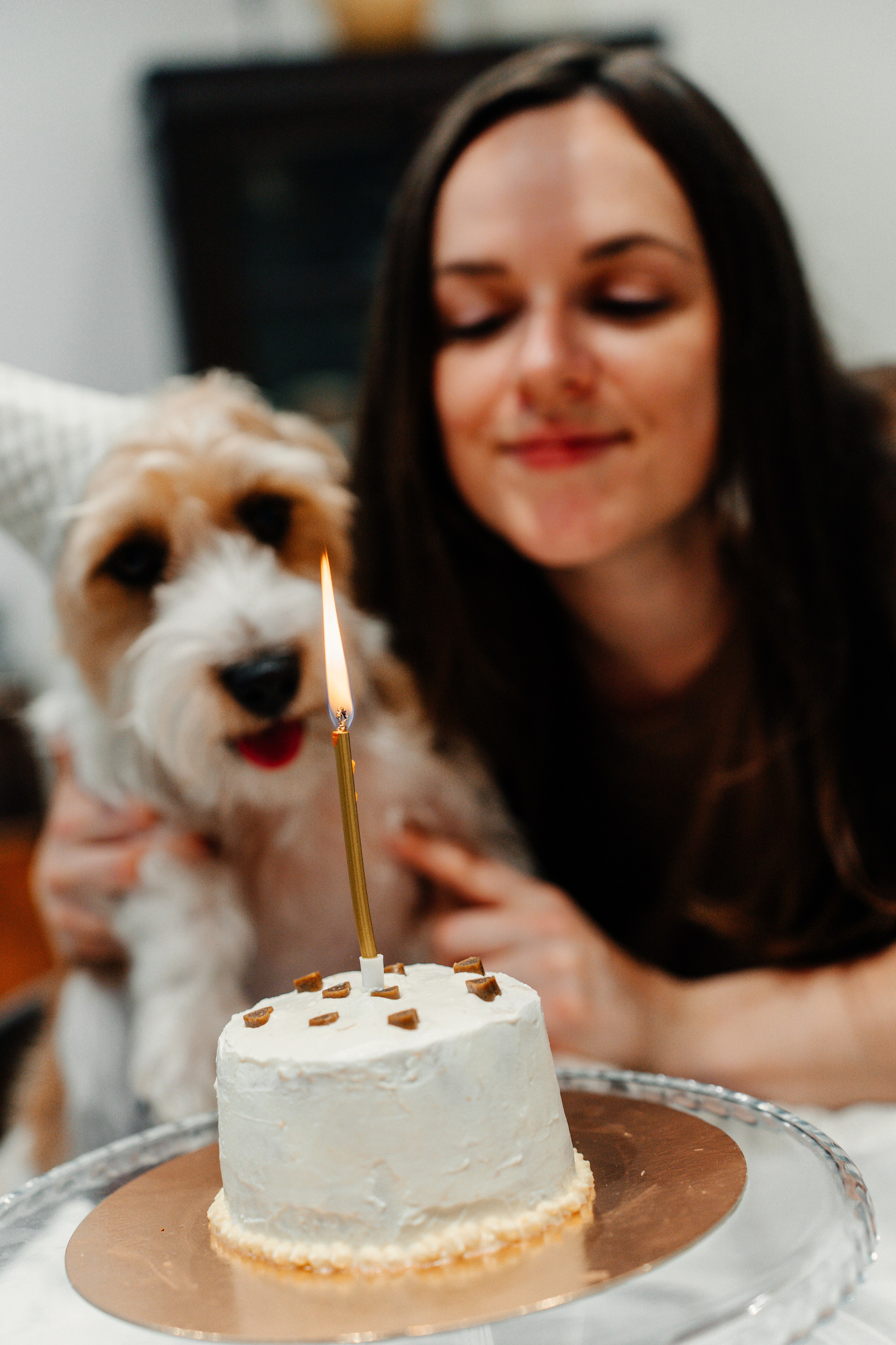 Красота хвостатых глазами хозяйки. Ваш семейный фотограф в Минске — Вика Трегубова