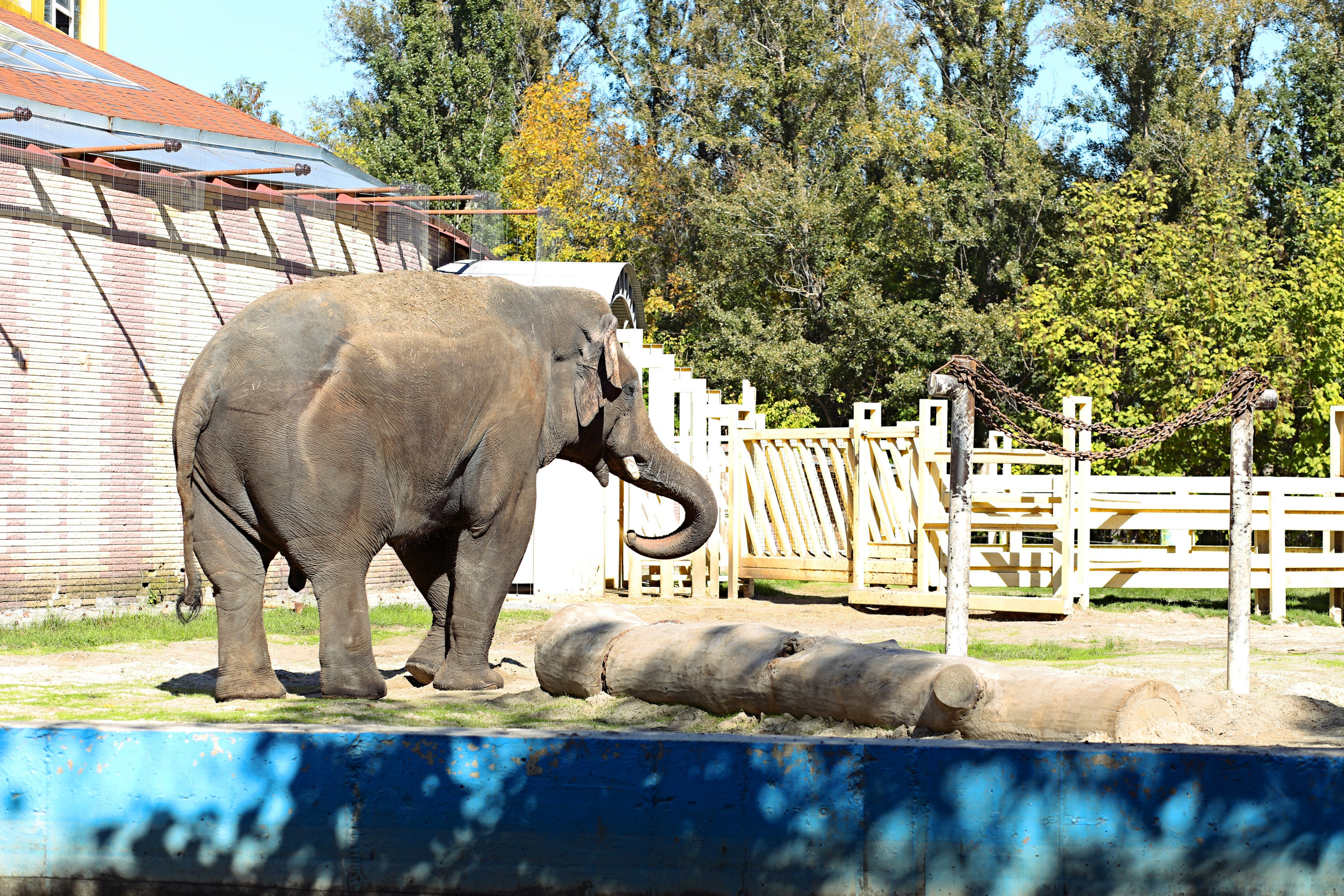 Ростовский зоопарк. Фото-художник и Репортажный фотограф Николаев Александр Алексеевич