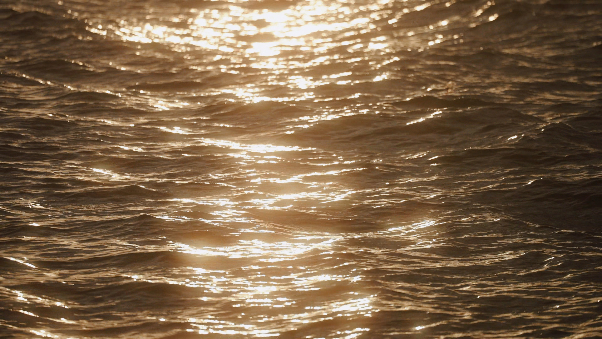 Ульяна и Олег. Агата Акварель видеограф Сочи Краснодар