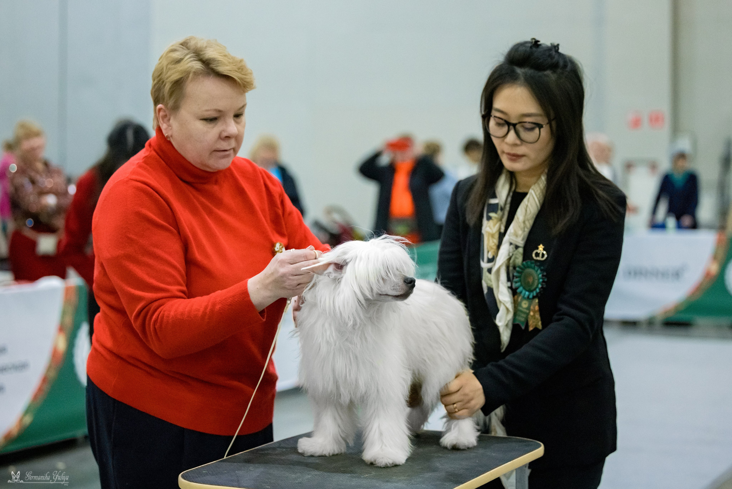 ЕВРАЗИЯ 18-19.11.2023. Фотограф-анималист Юлия Германика