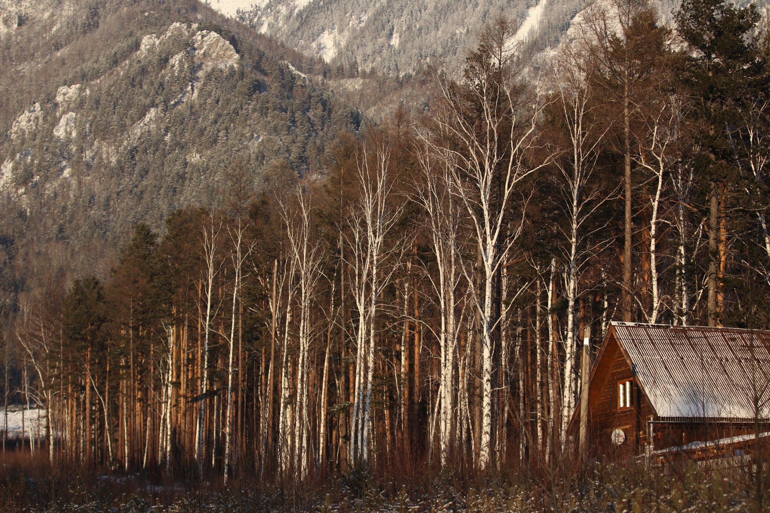 Аршан. Январь 2024. Путешественник-фотограф из Санкт-Петербурга Татьяна Свистулина
