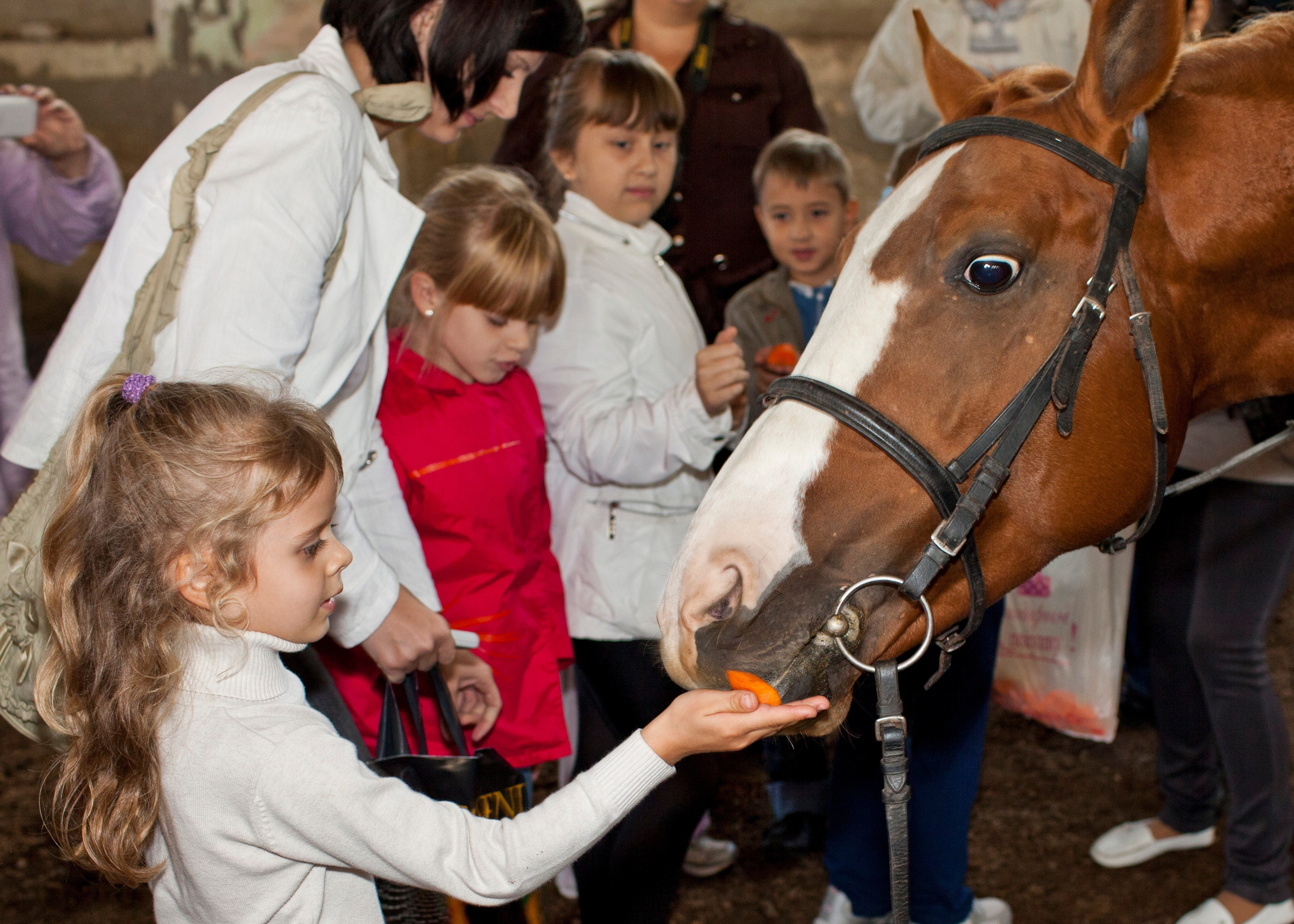 Фотосессия детей с животными. Медиапродюсер, фотограф в Минеральных Водах —Виктор Холодов