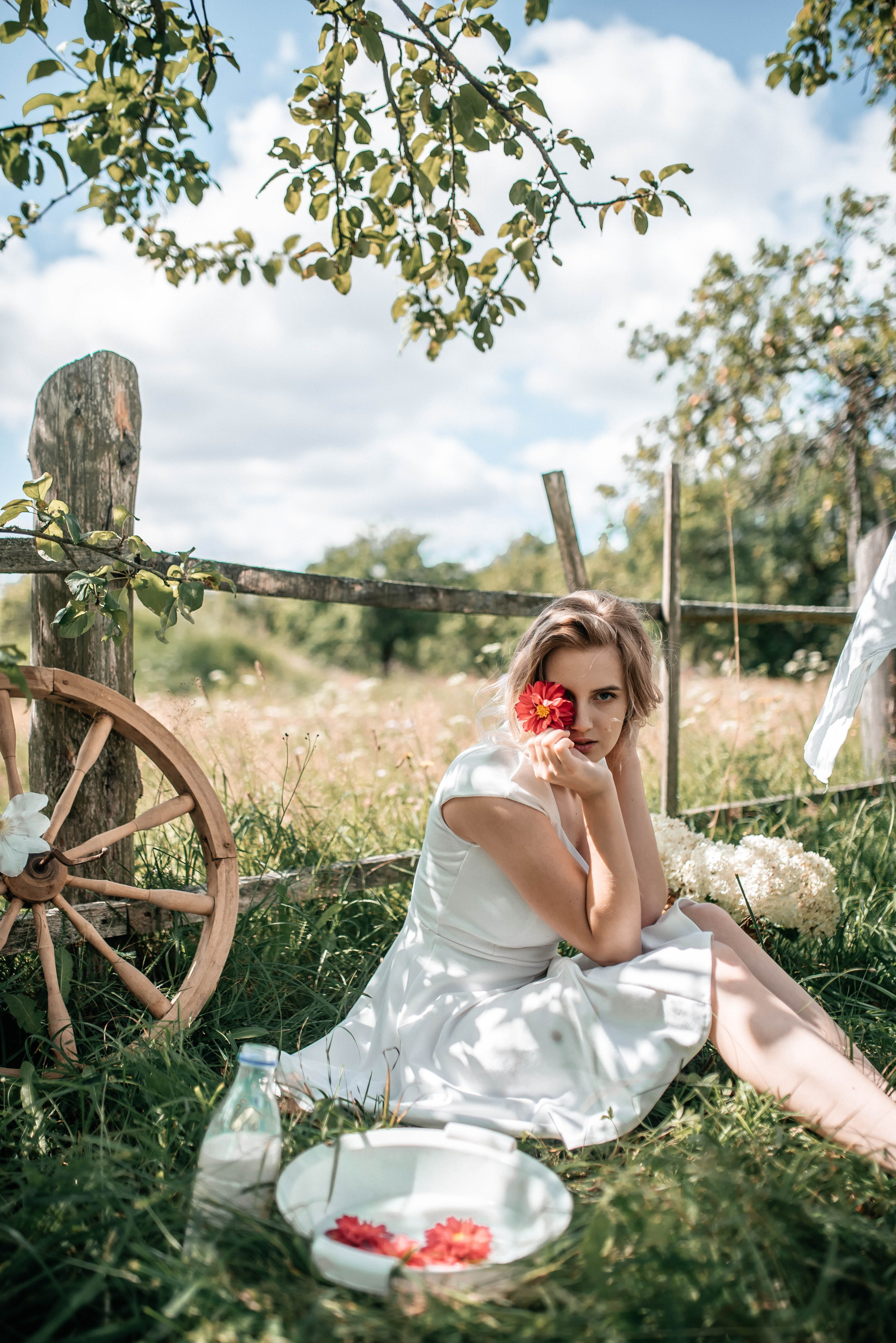 Диона, лето. Главная