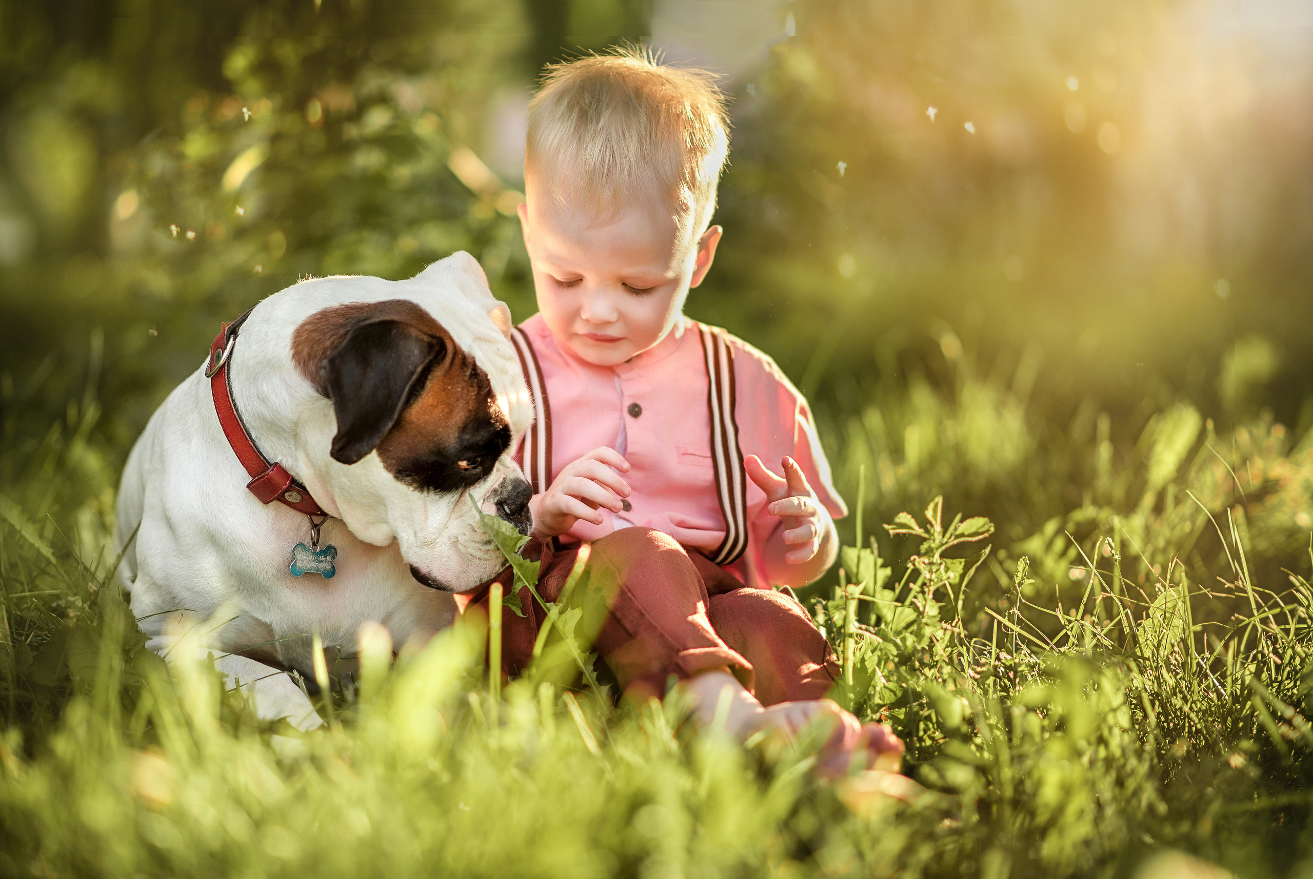 Семейная ,детская съемка. Свадебный, семейный и детский фотограф в Москве и области