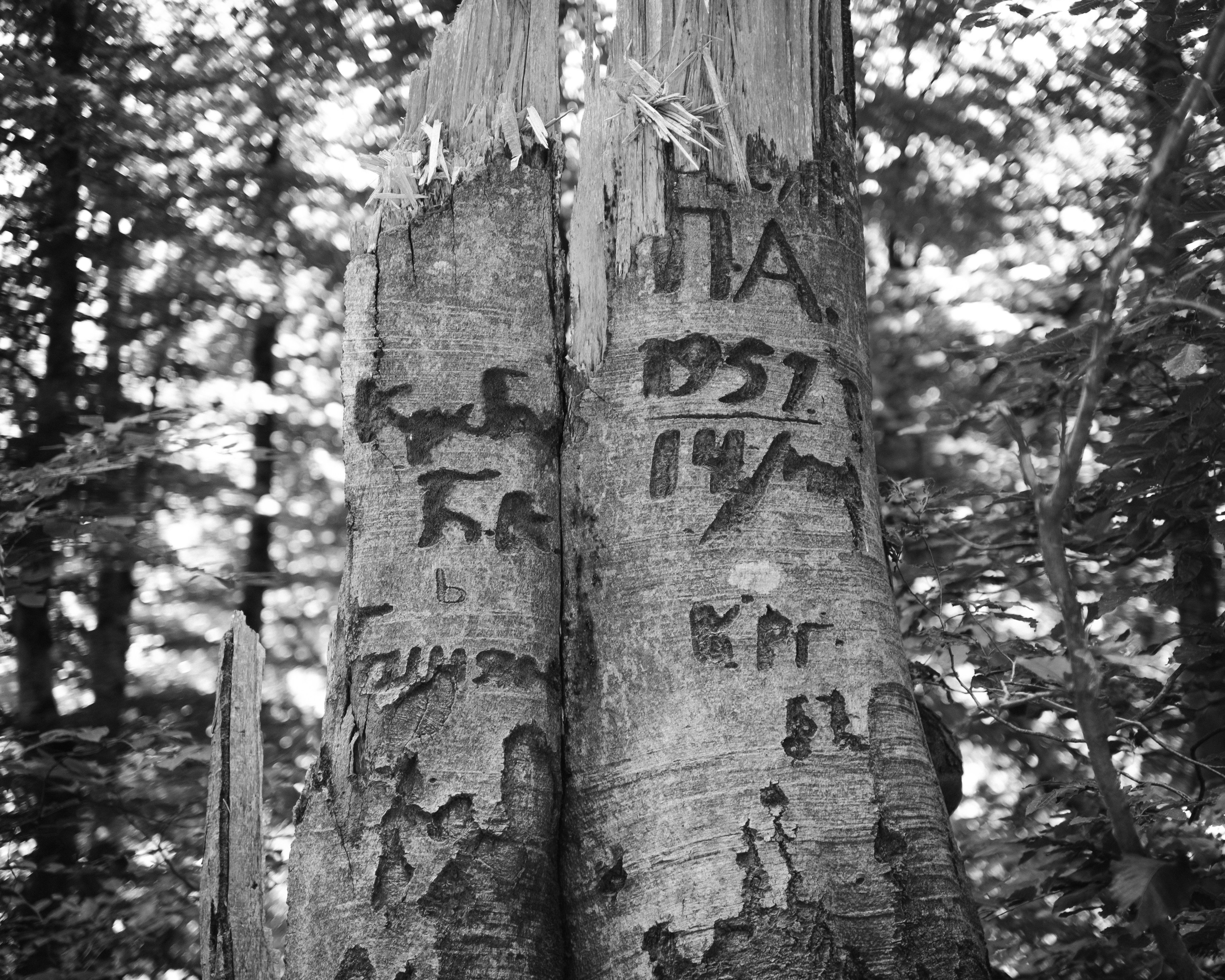 Тридцатка | август 2023