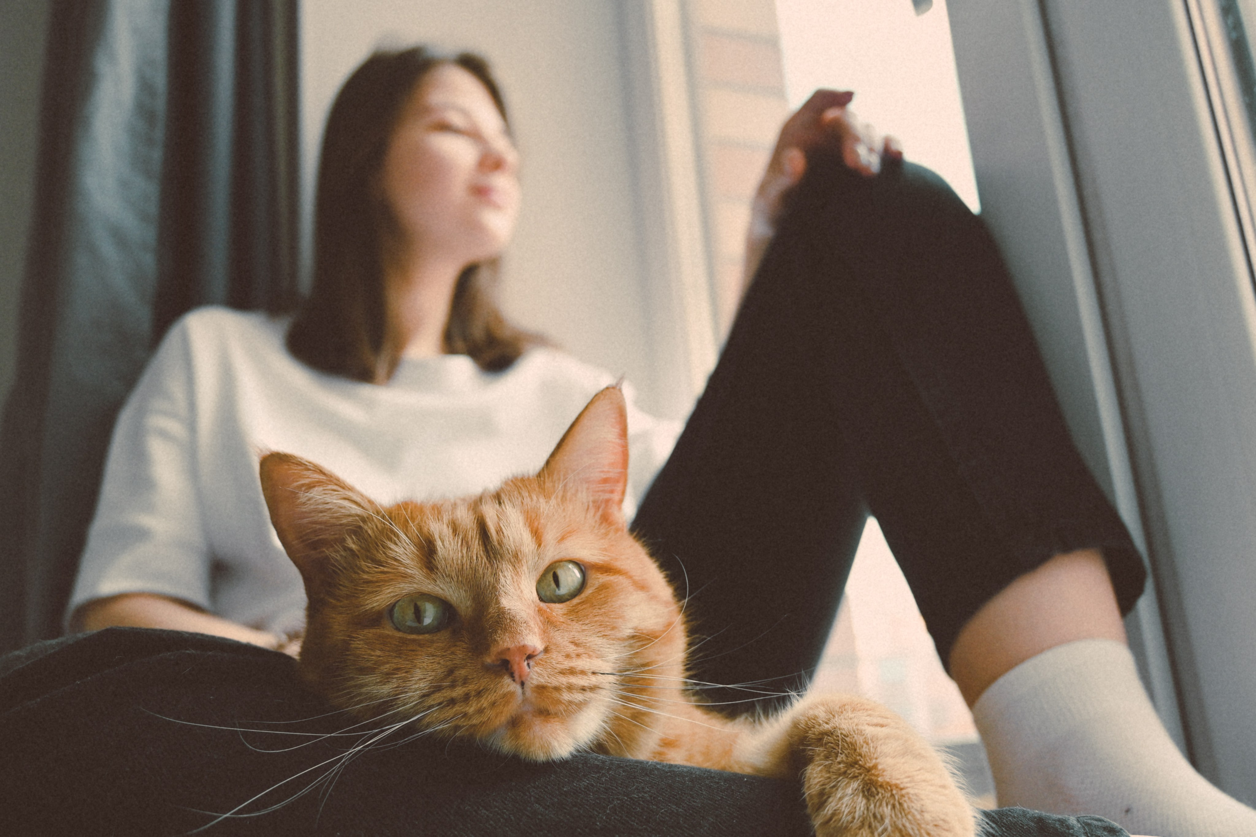 Тёплый квартирный фотосет — Настя. Фотограф и видеограф в Москве Анна Матюхина