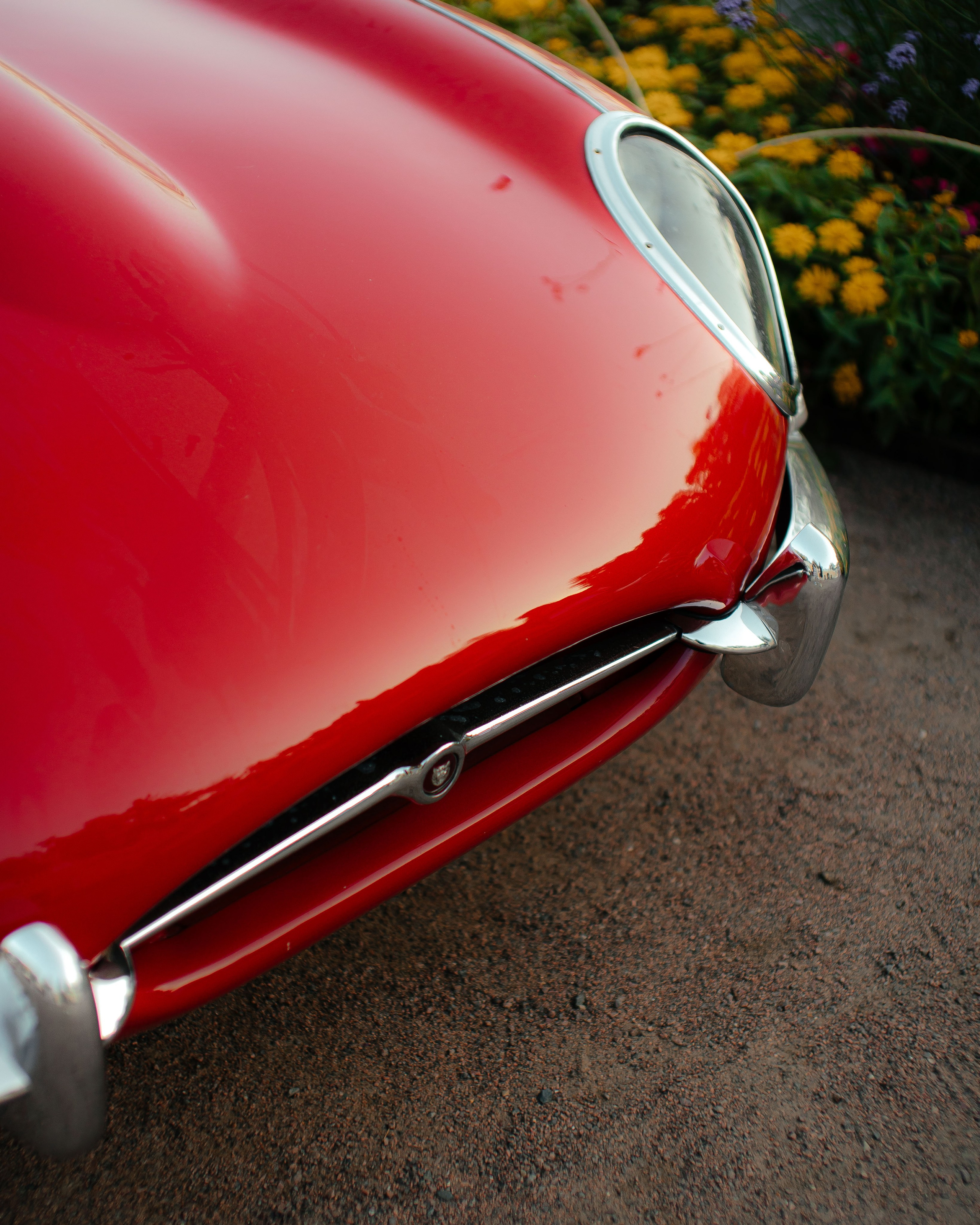 Автовыходные в Архангельском. Фотограф Вадим Лакомкин