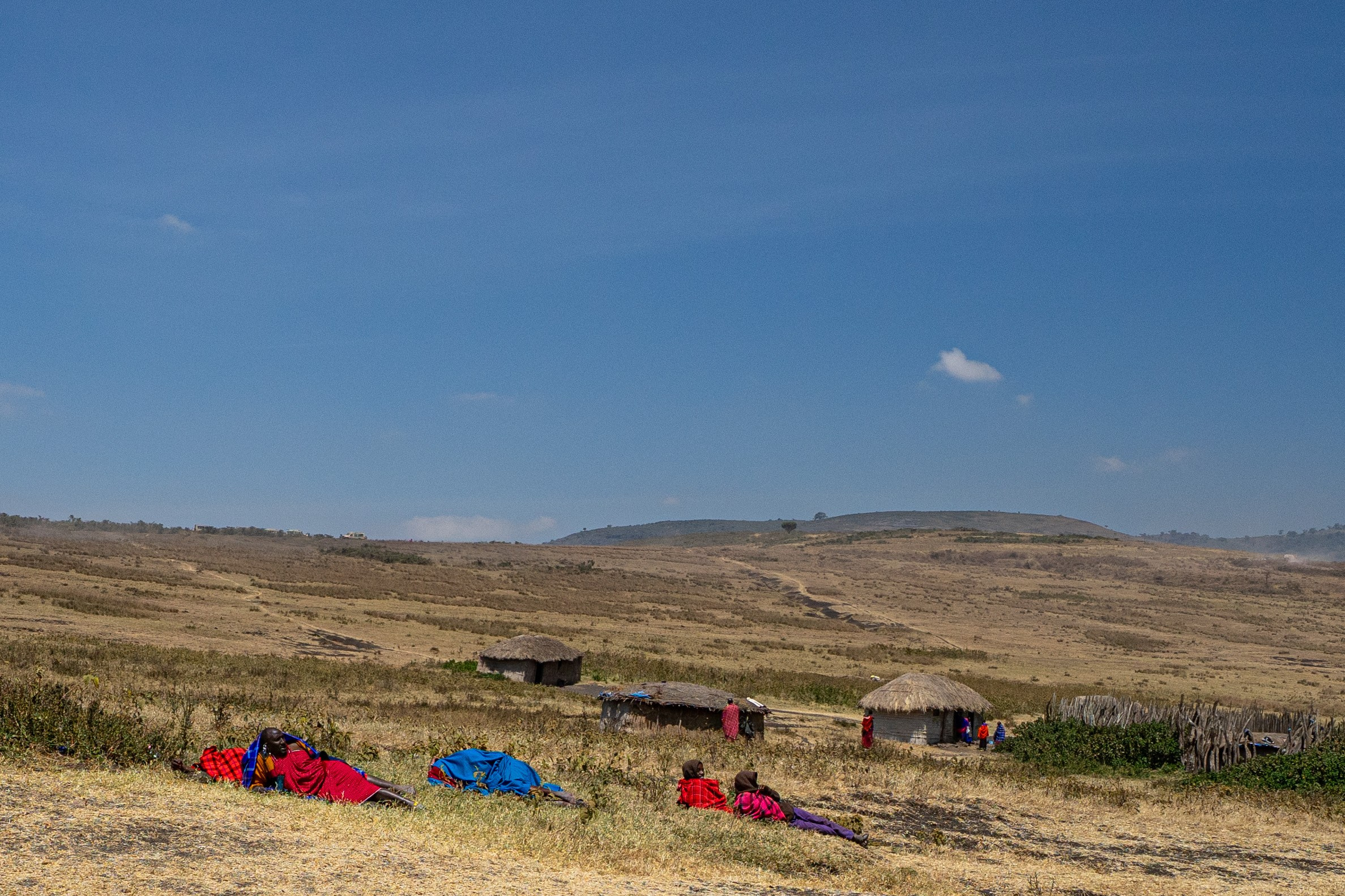 Танзания, сафари, 2025. Творческие сьемки