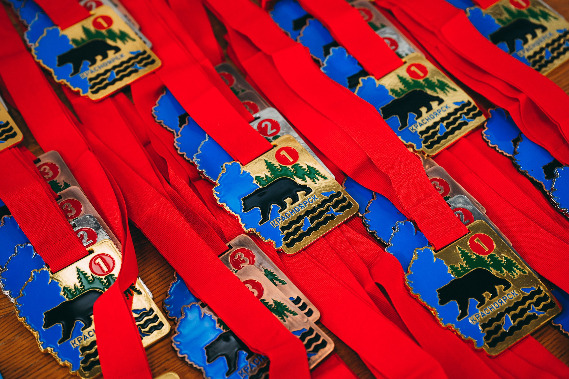 Первенство Красноярска по капоэйре. 📸Портретный и репортажный фотограф | Красноярск | Поливода Дмитрий📸