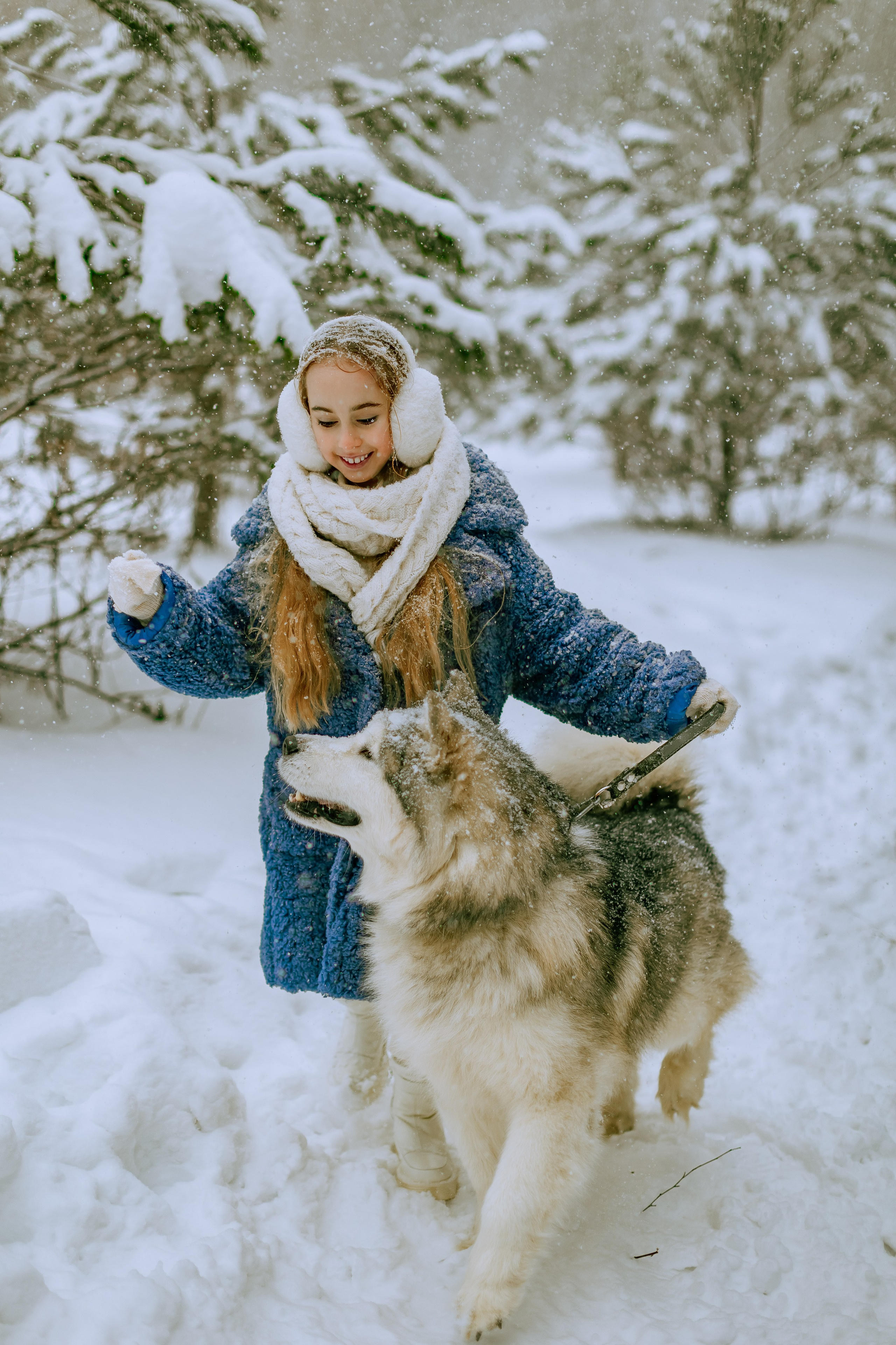 София и аляскинский маламут. Фото и видео Москва, Московский. Свадебный фотограф, видеограф, фотосессии, видеосъемка