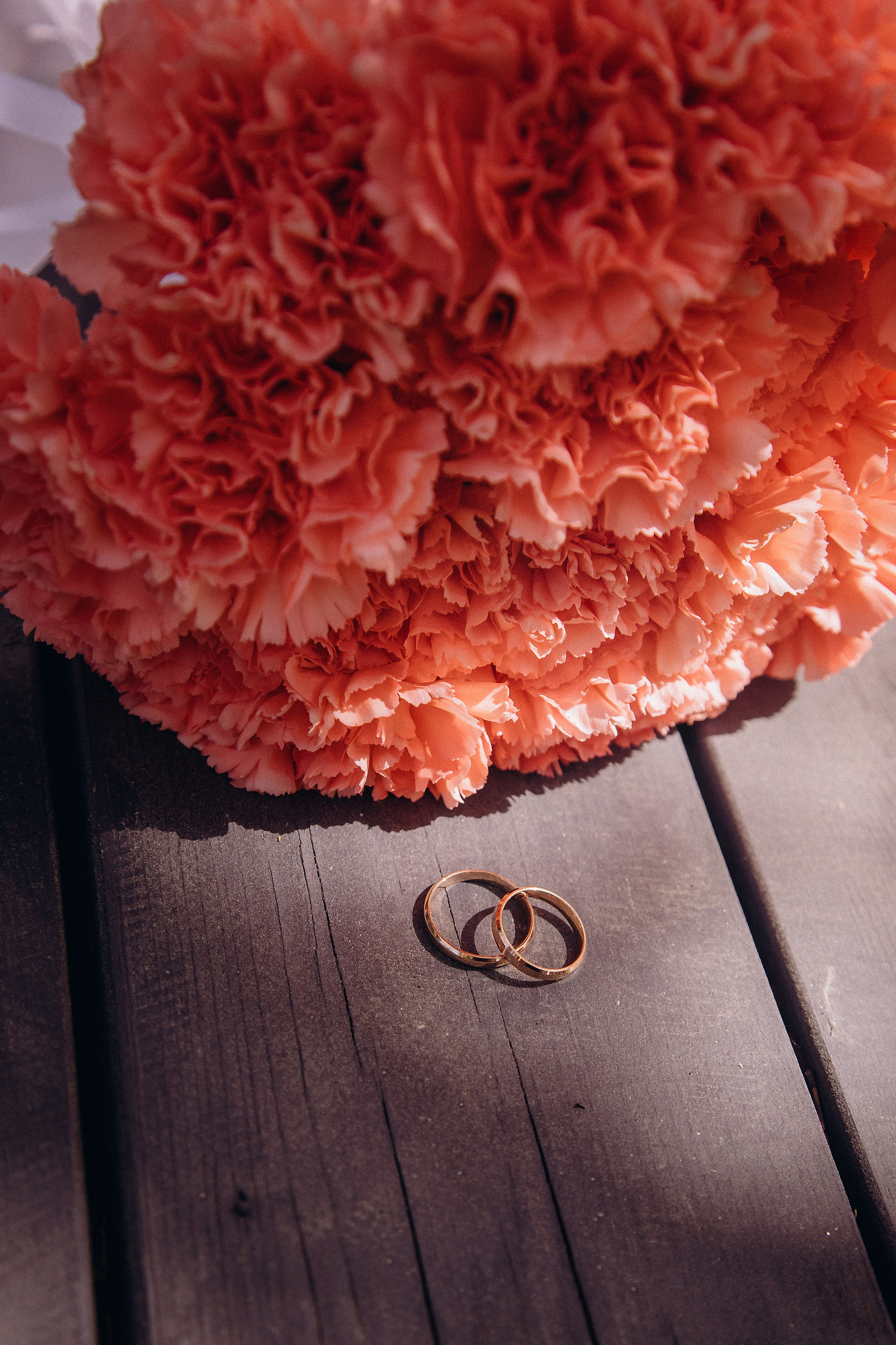 Александр и Анастасия. Фотограф