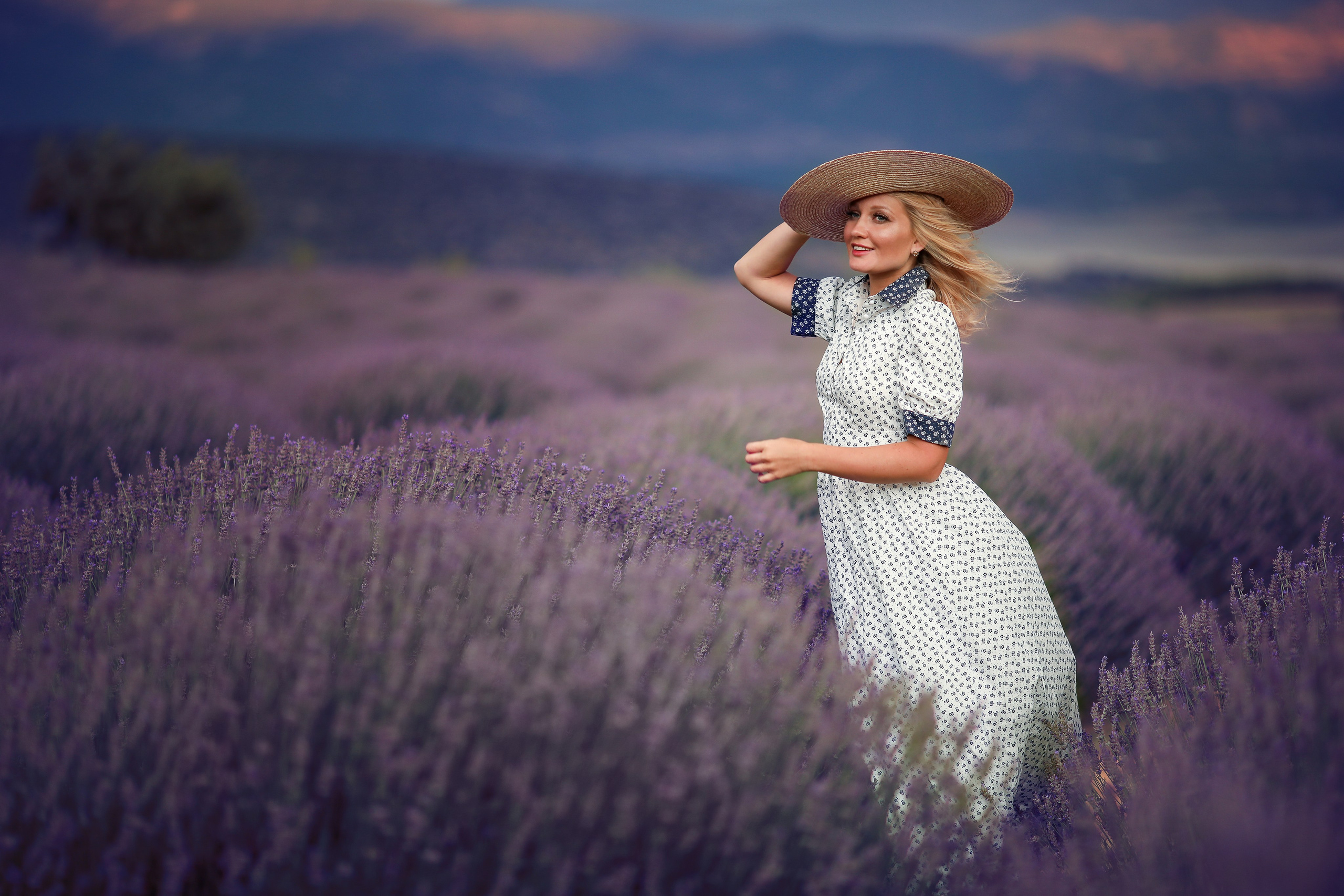 Lavender fields in Turkey