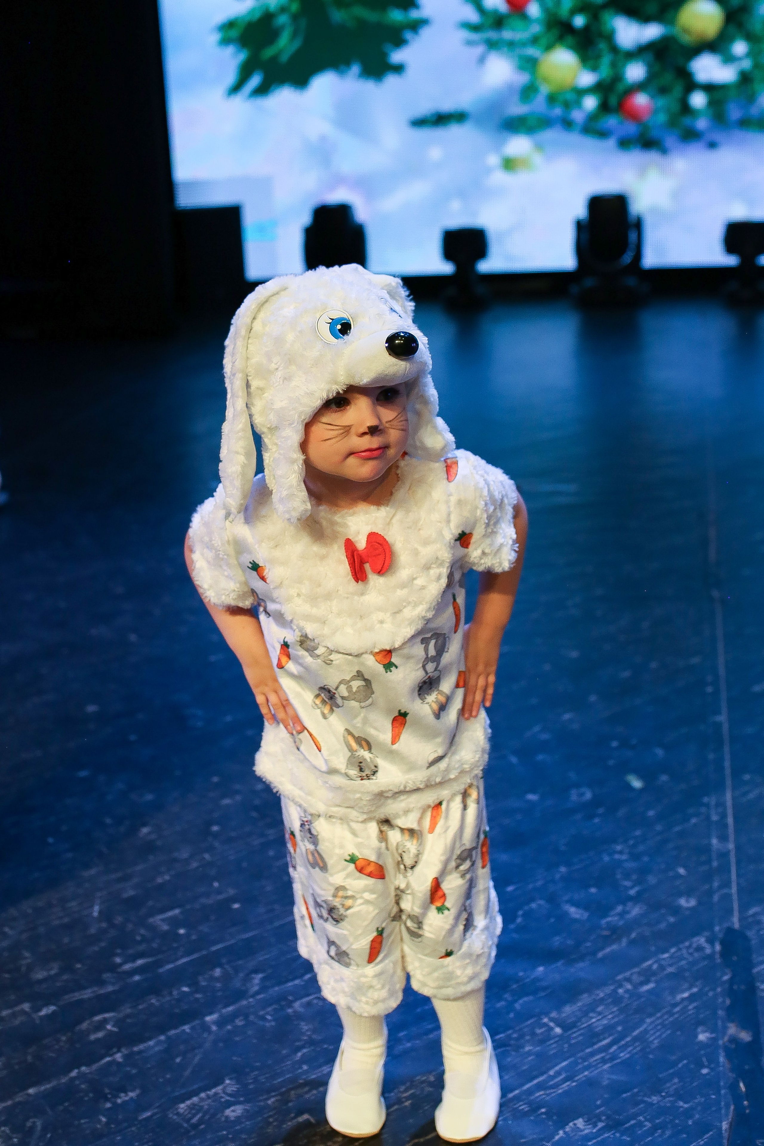 Новогодний концерт