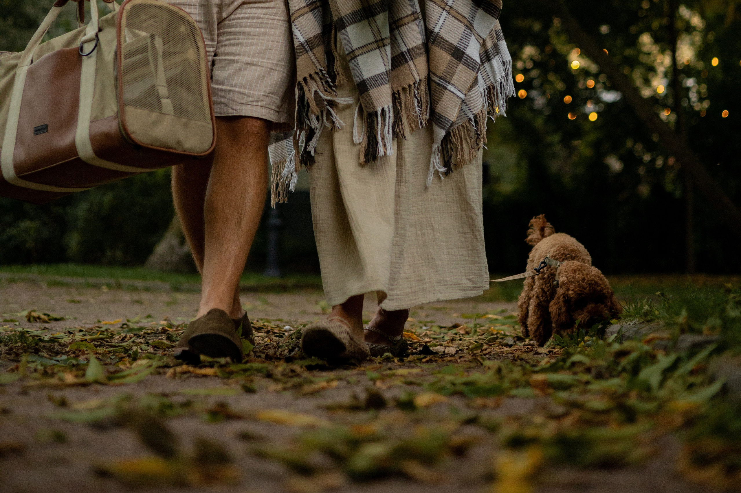 Мишель и её семья. Фотограф — анималист •love-story•|Санкт-Петербург