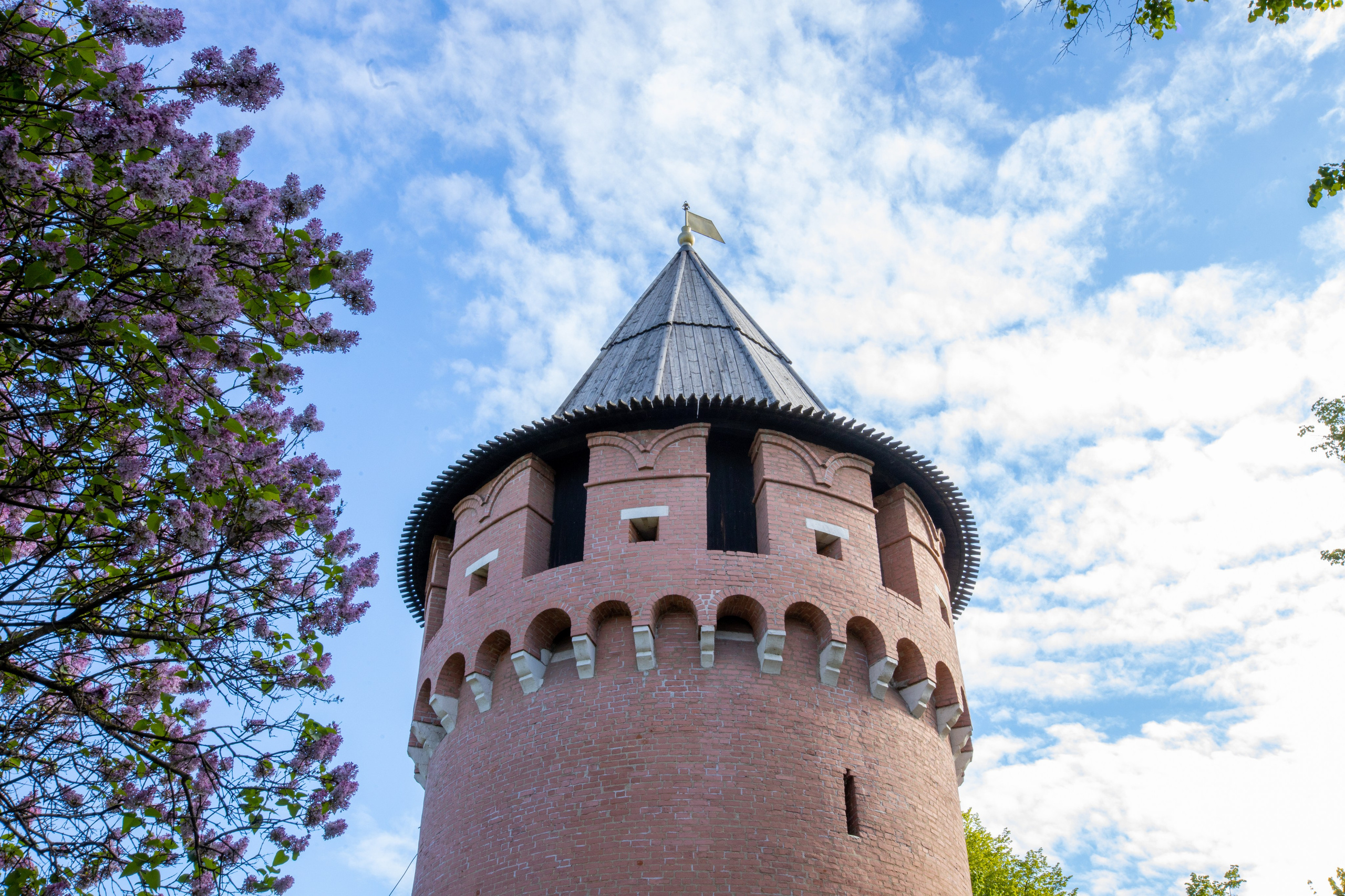 Весеннее цветение в Туле. Фотограф в Туле Крупский АнДРей. Фотостудия «КАДР71» в Туле