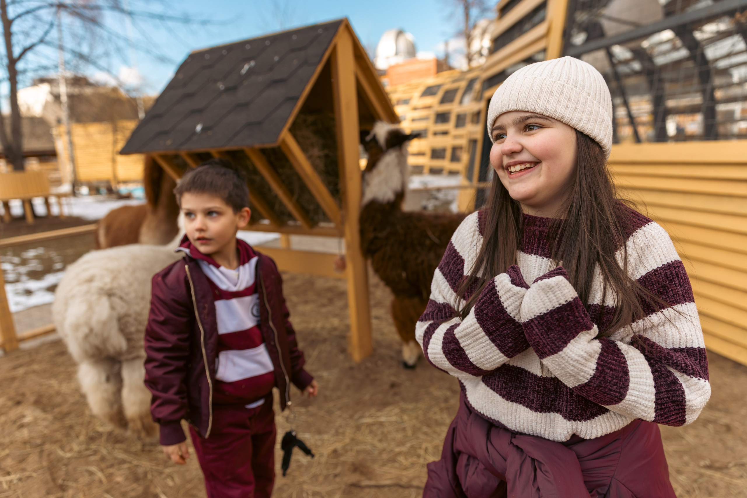 Zoo. Семейный фотограф Израиль