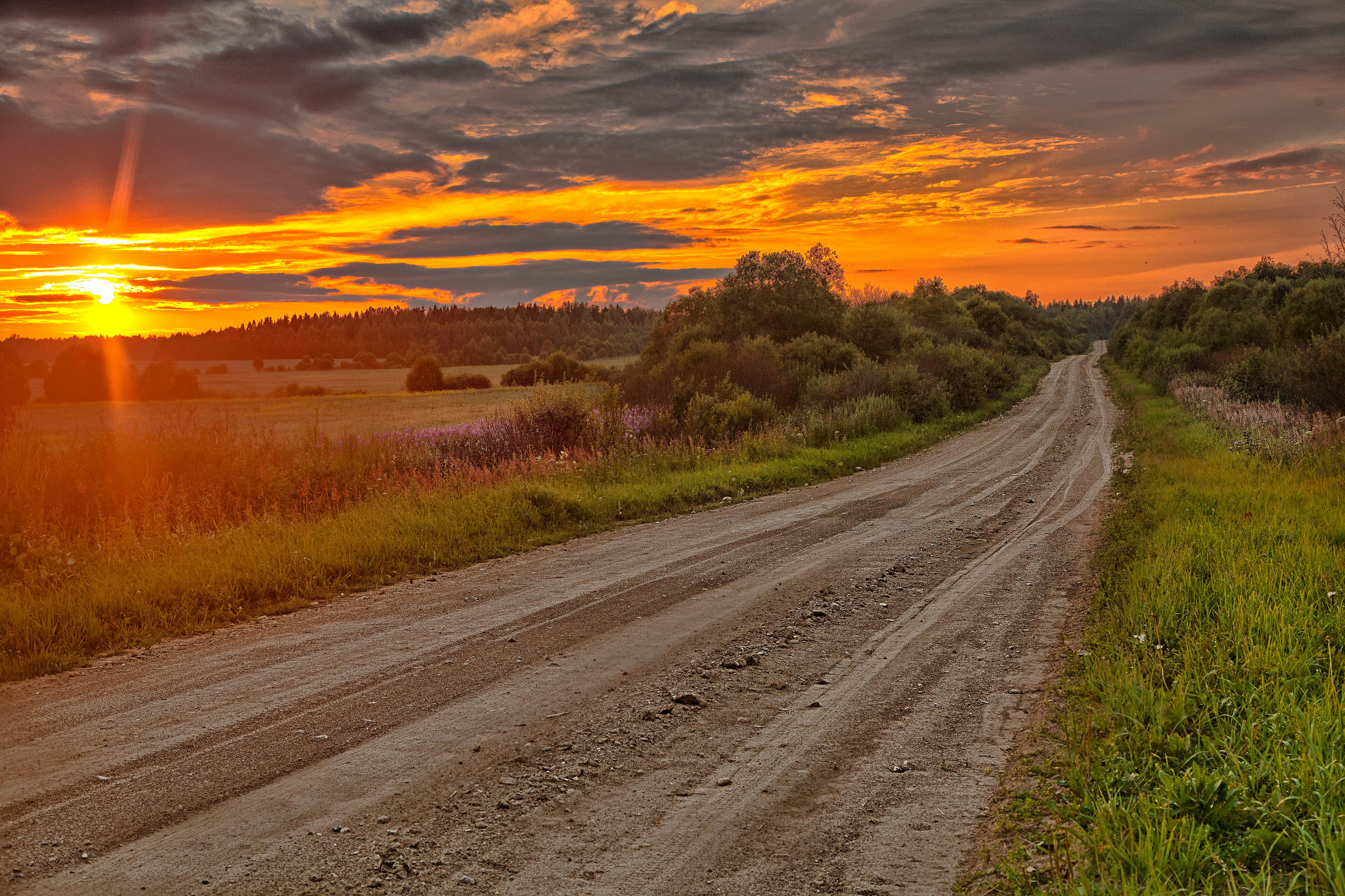 Цвет как объект. Свадьбы, портретная, предметная съемка. Фотограф Александр К