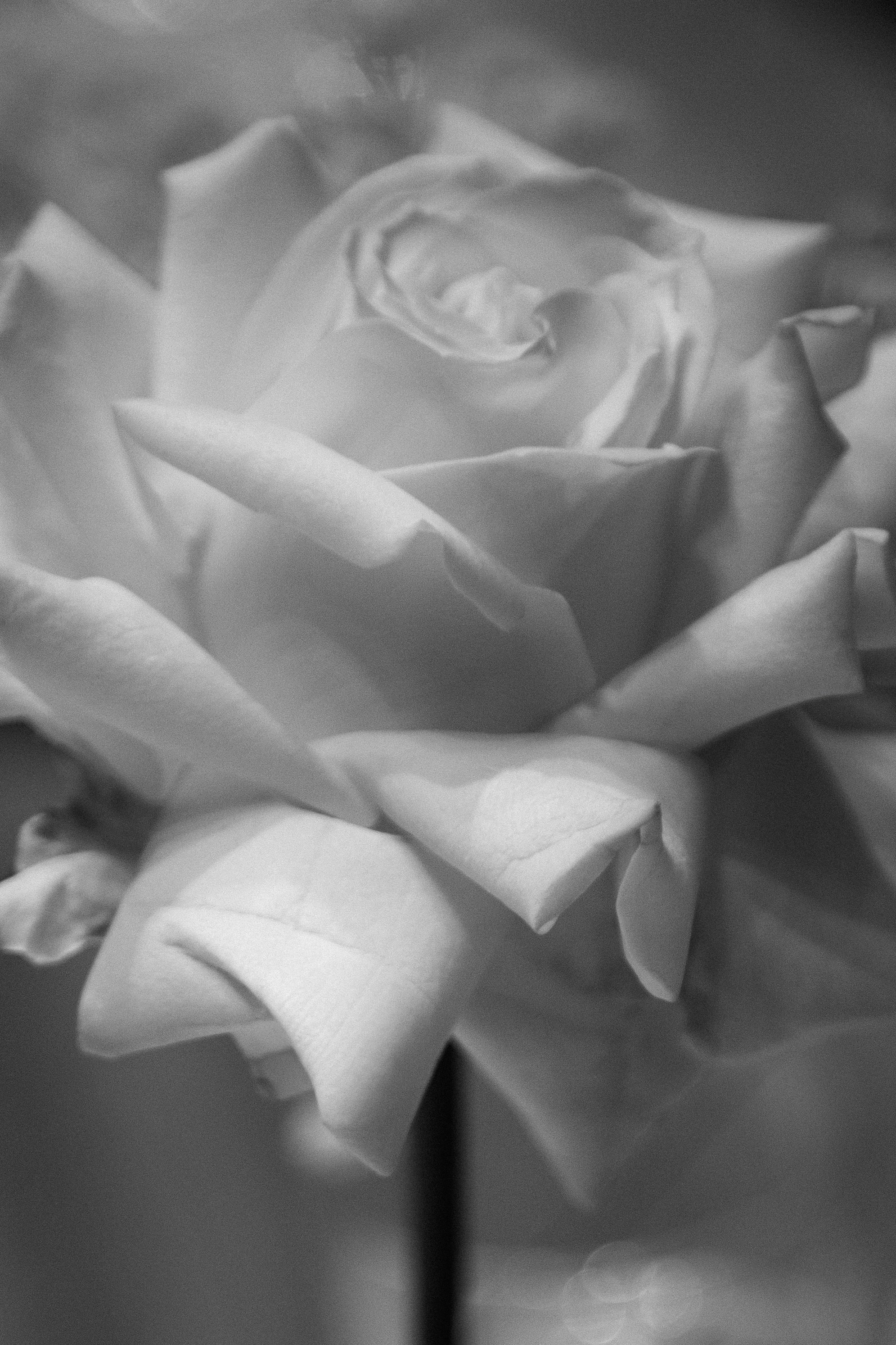 Артем и Дарья