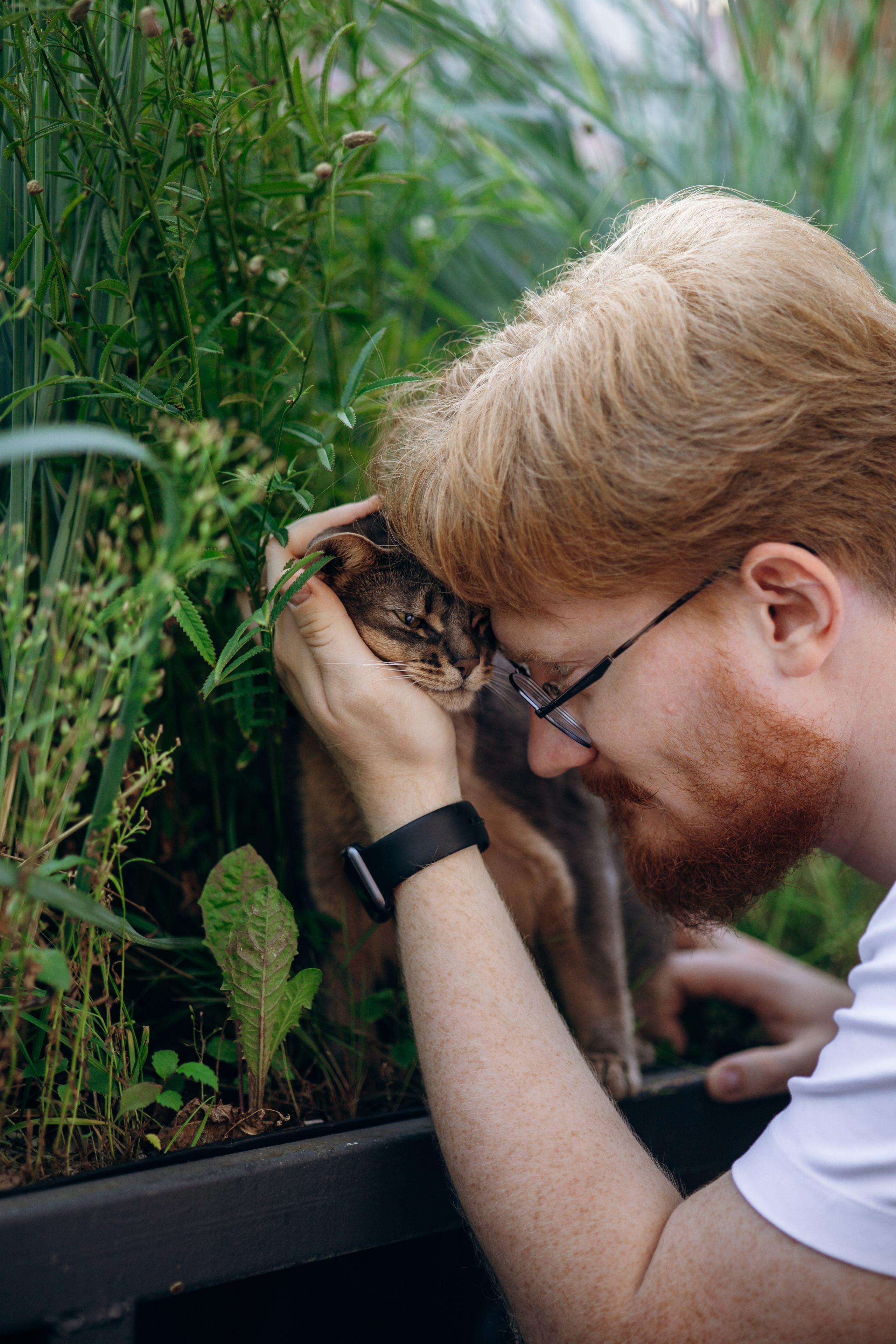 Циско и его семья. Фотограф — Анималист | Санкт-Петербург