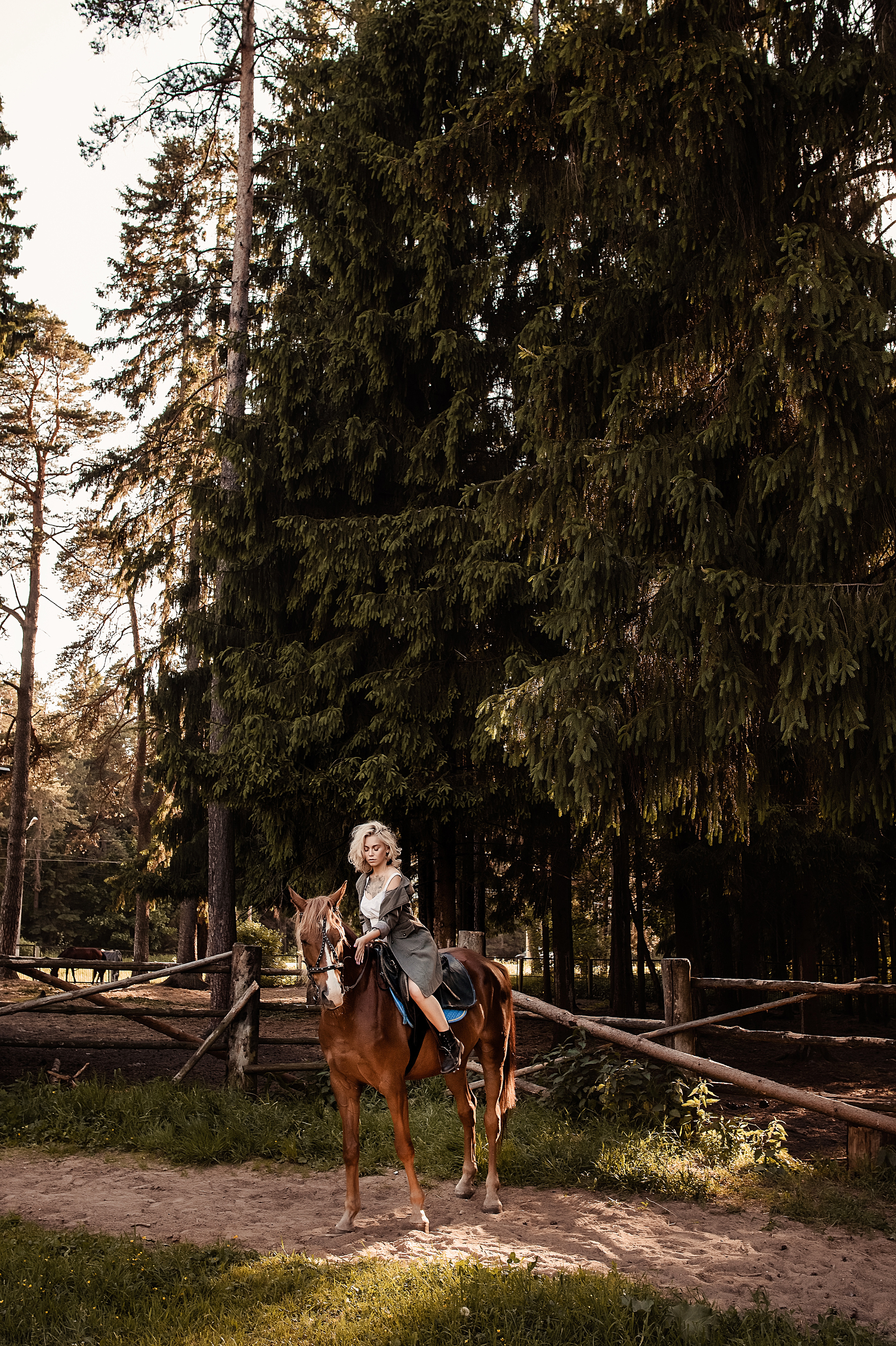 Александра и Константин. Свадебный и семейный фотограф Вероника Холод