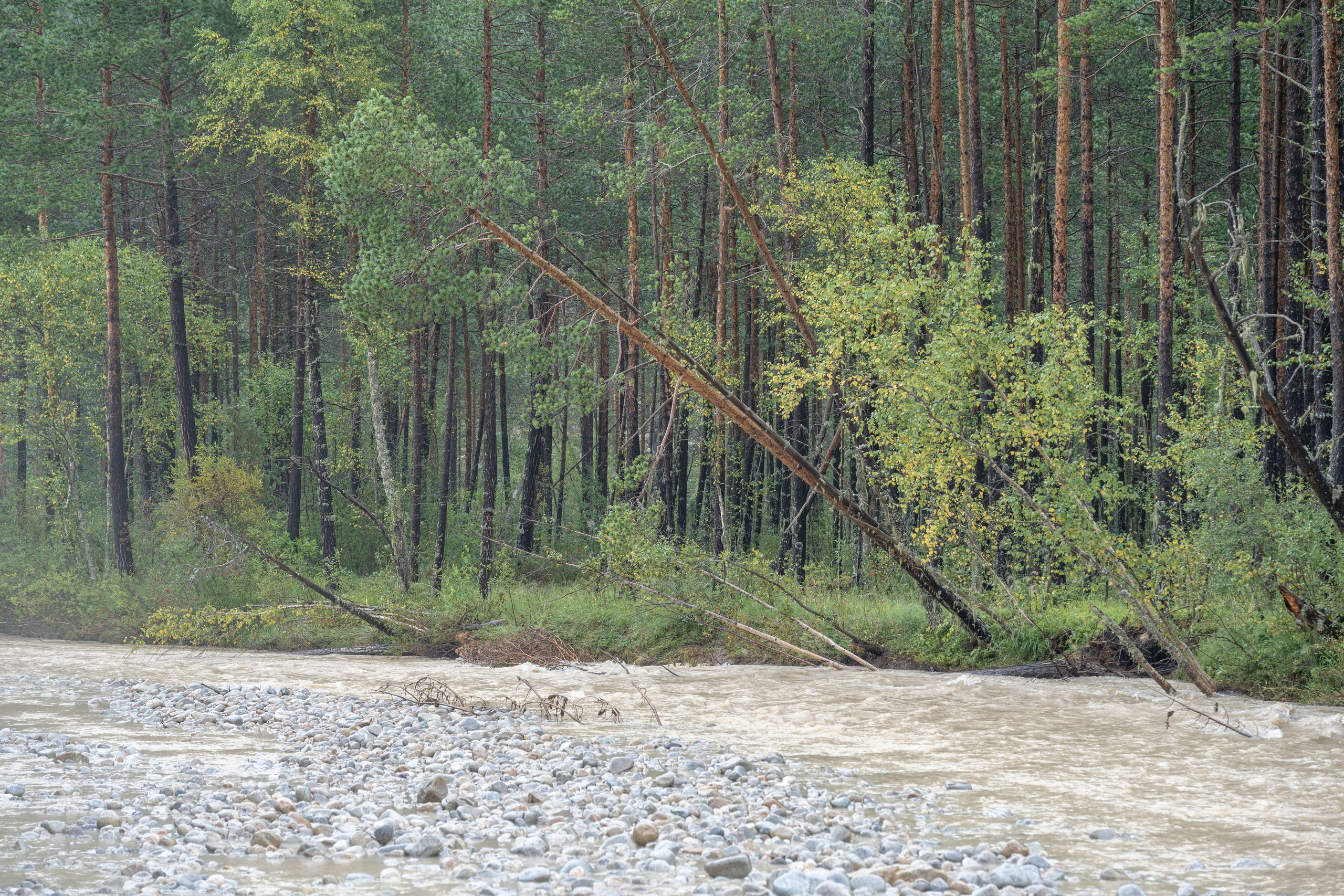 Экспедиция 2025