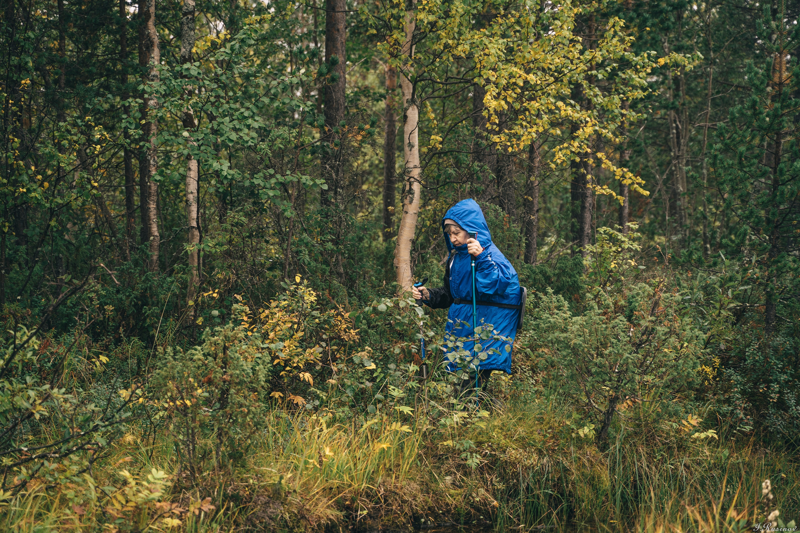 ХИБИНЫ 2021 г. Event фотограф Степанова Александра