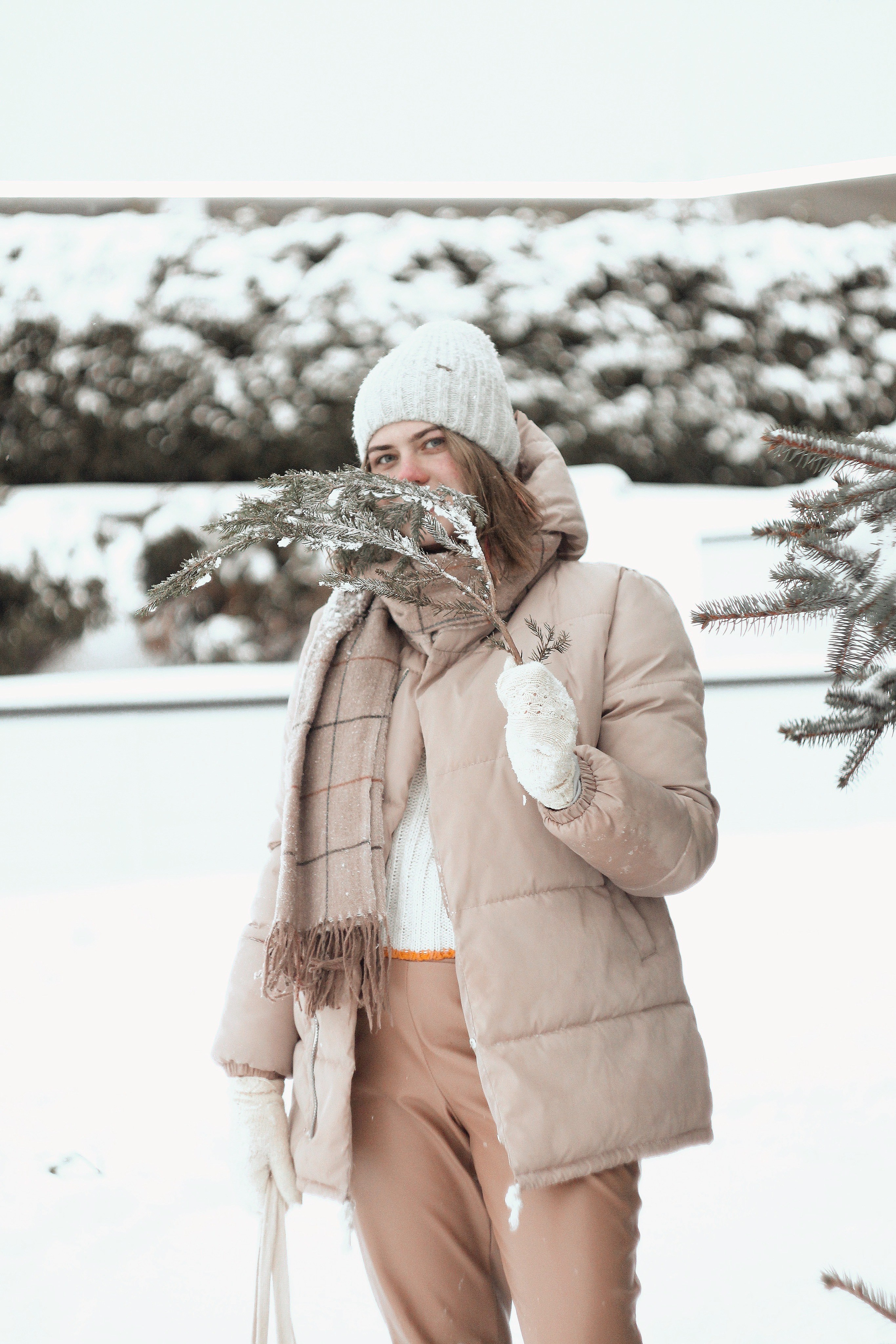 Зимний январь. Photography Eva