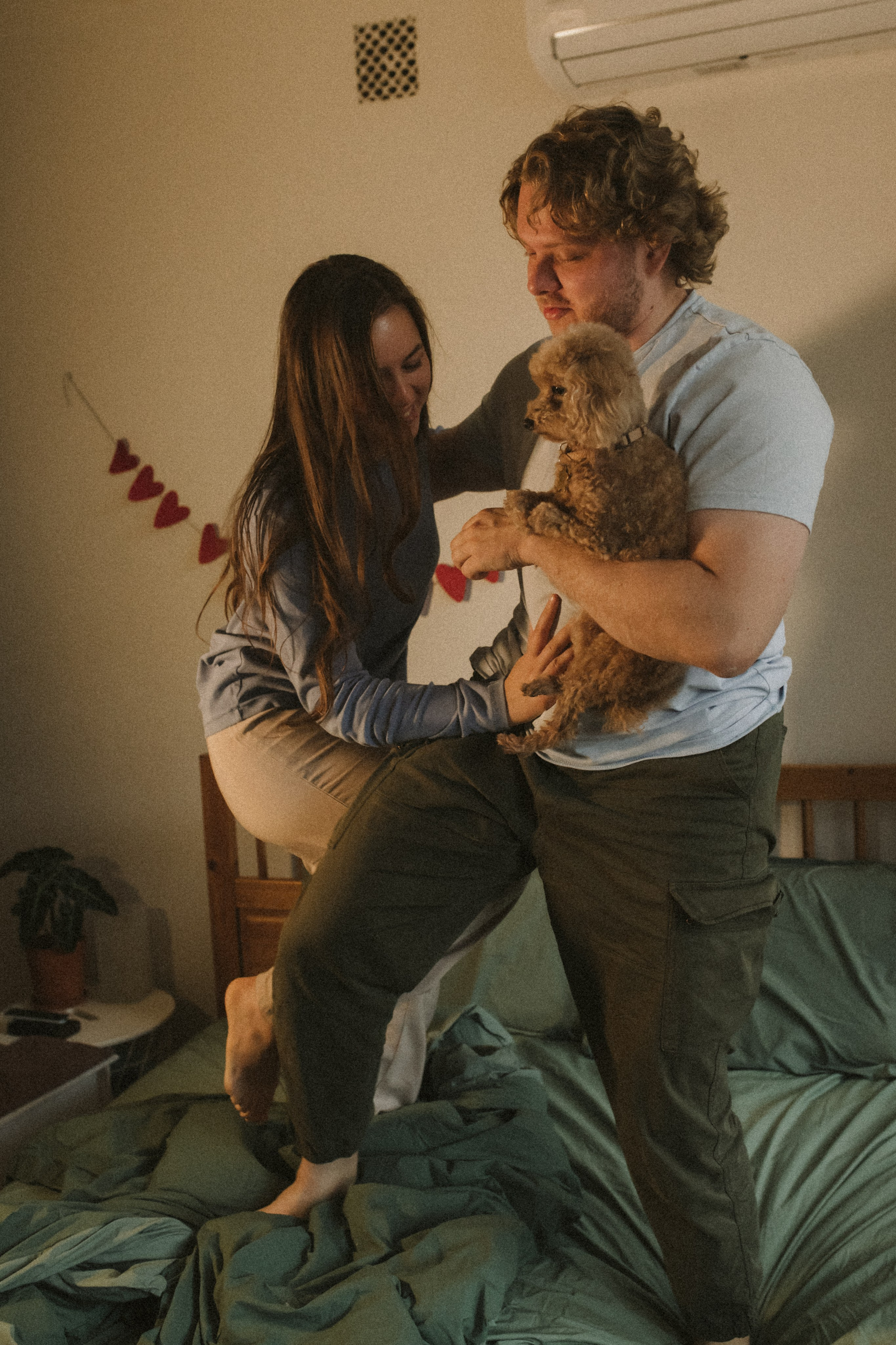 Ання и её кудрявая команда. Фотограф анималист в Москве Ольга Агушева