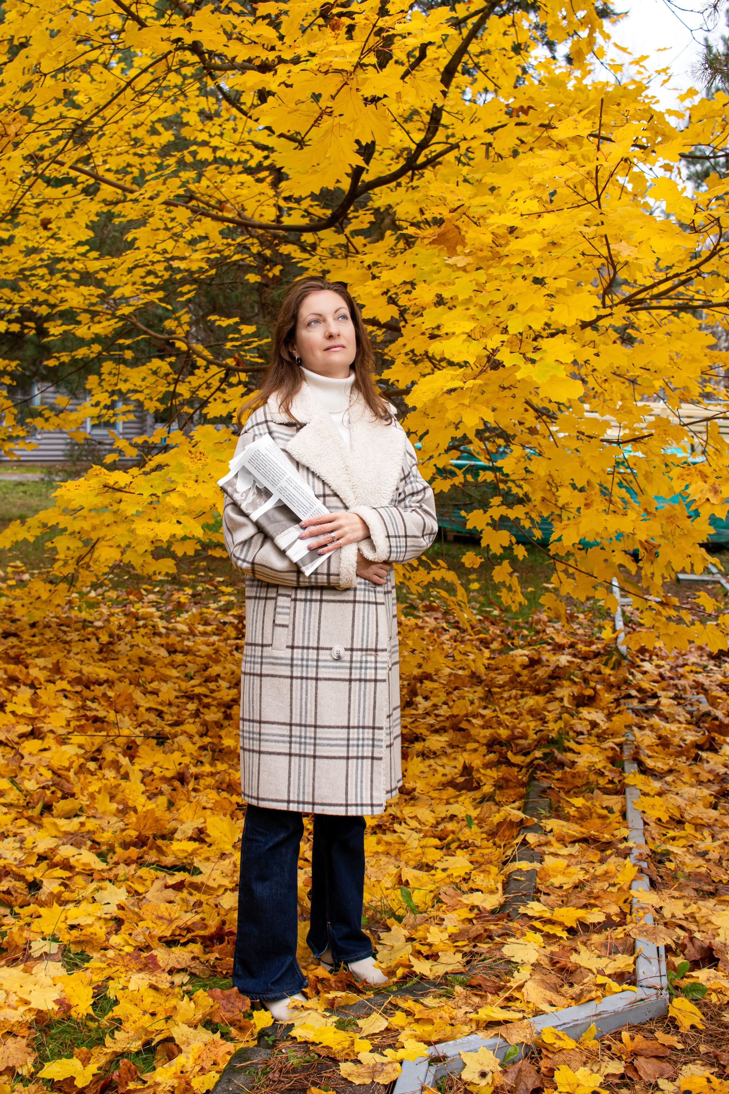 Осенний портрет