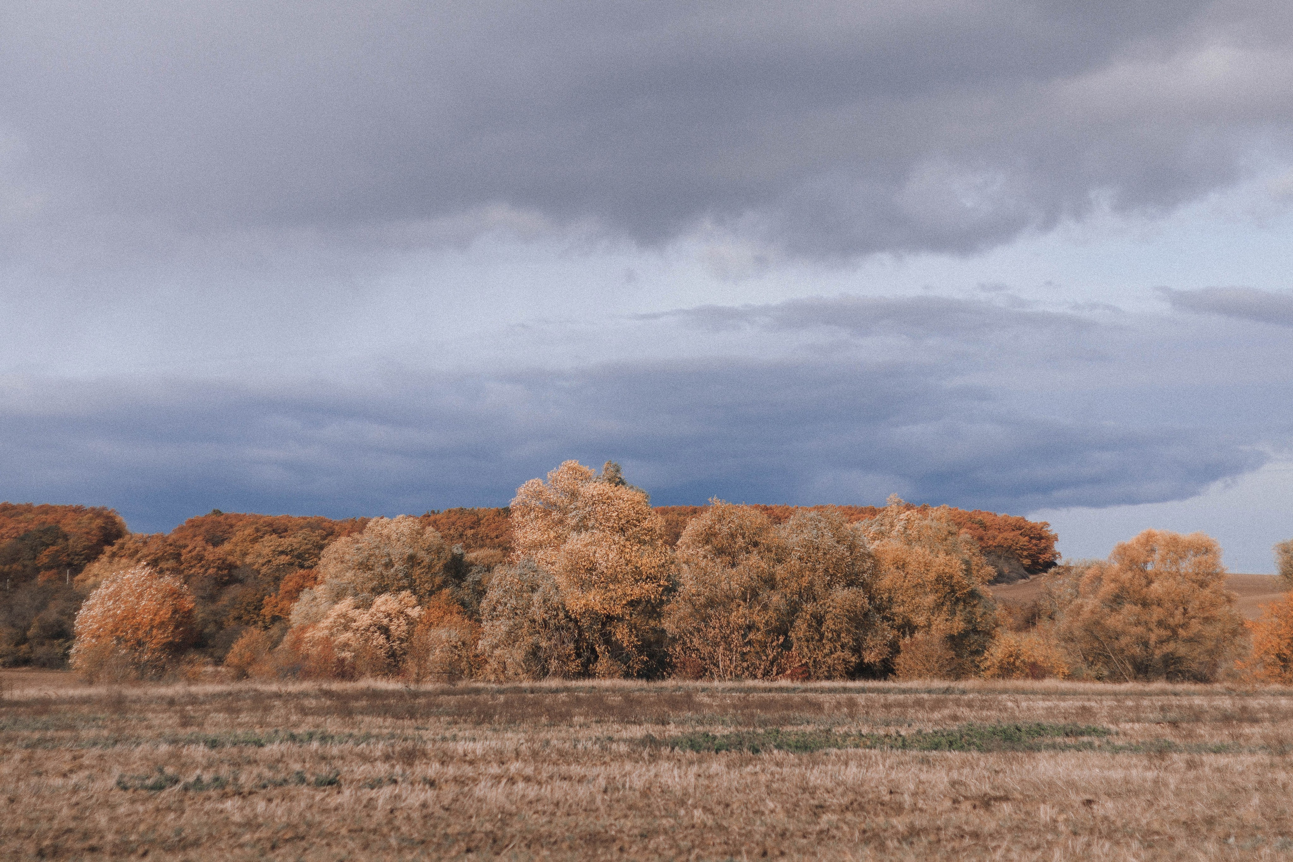 Настя и Саша. Фотограф в Краснодаре Ксения Мархинина
