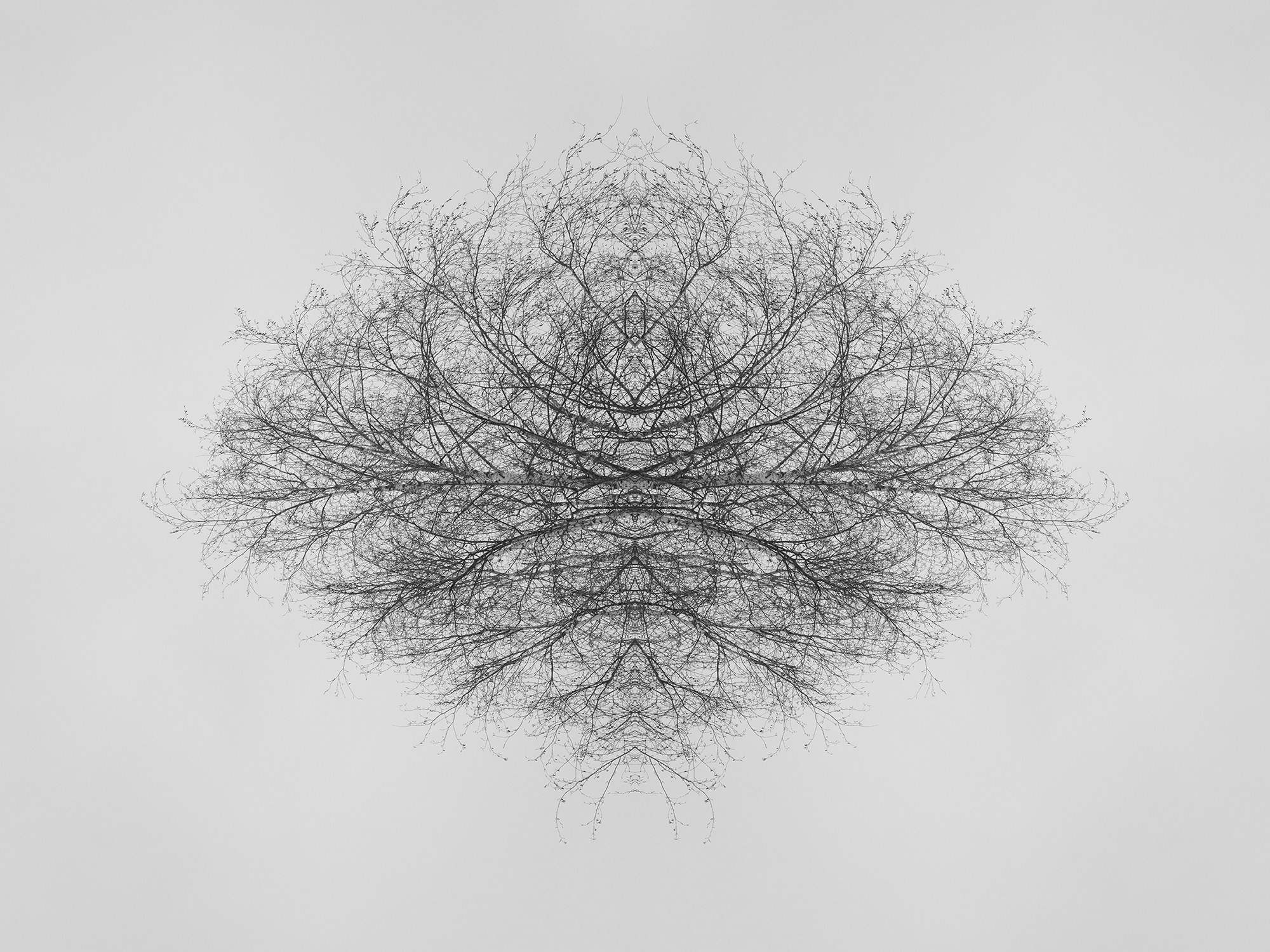 Острова. Анна Порошина — междисциплинарный художник