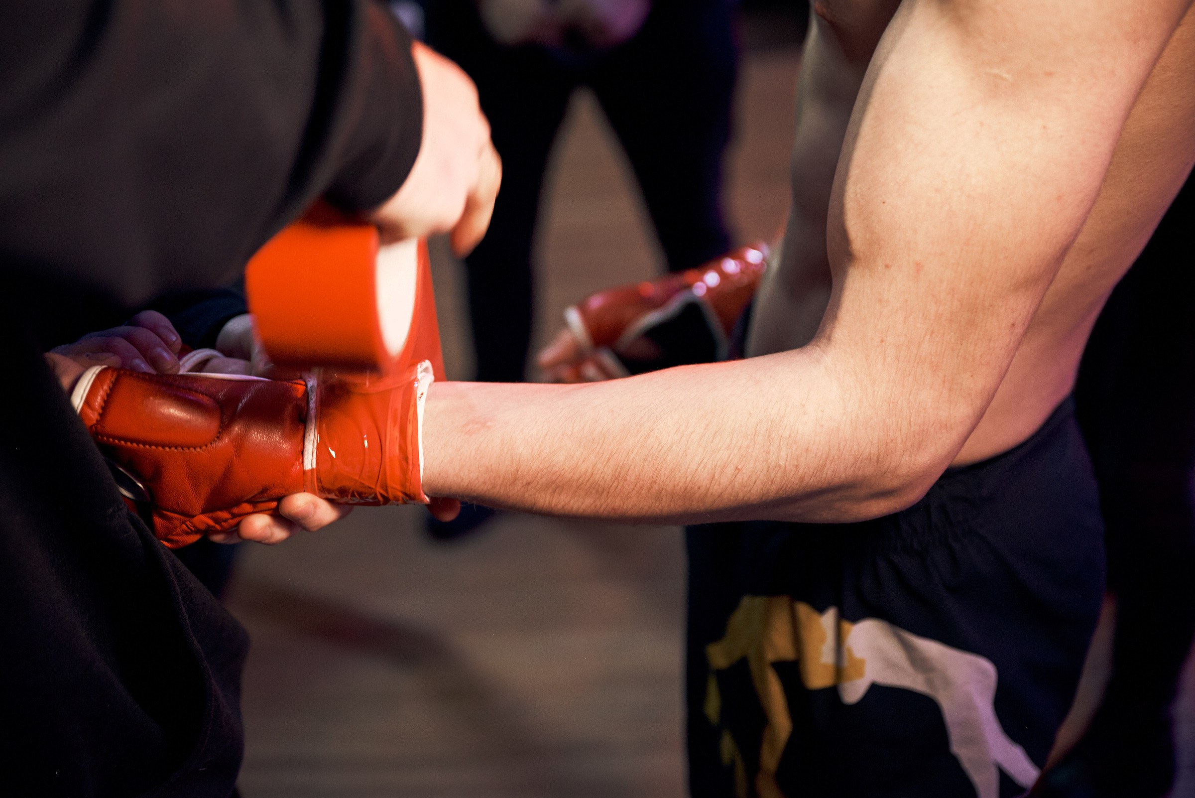 Бои. Маляревич Дмитрий свадебный фотограф