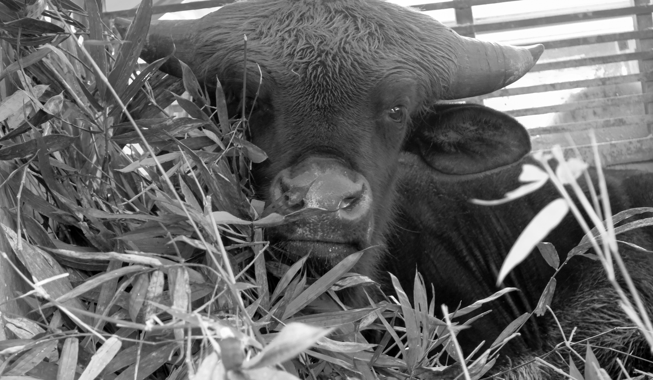 День 6-й. Фотографии из путешествий