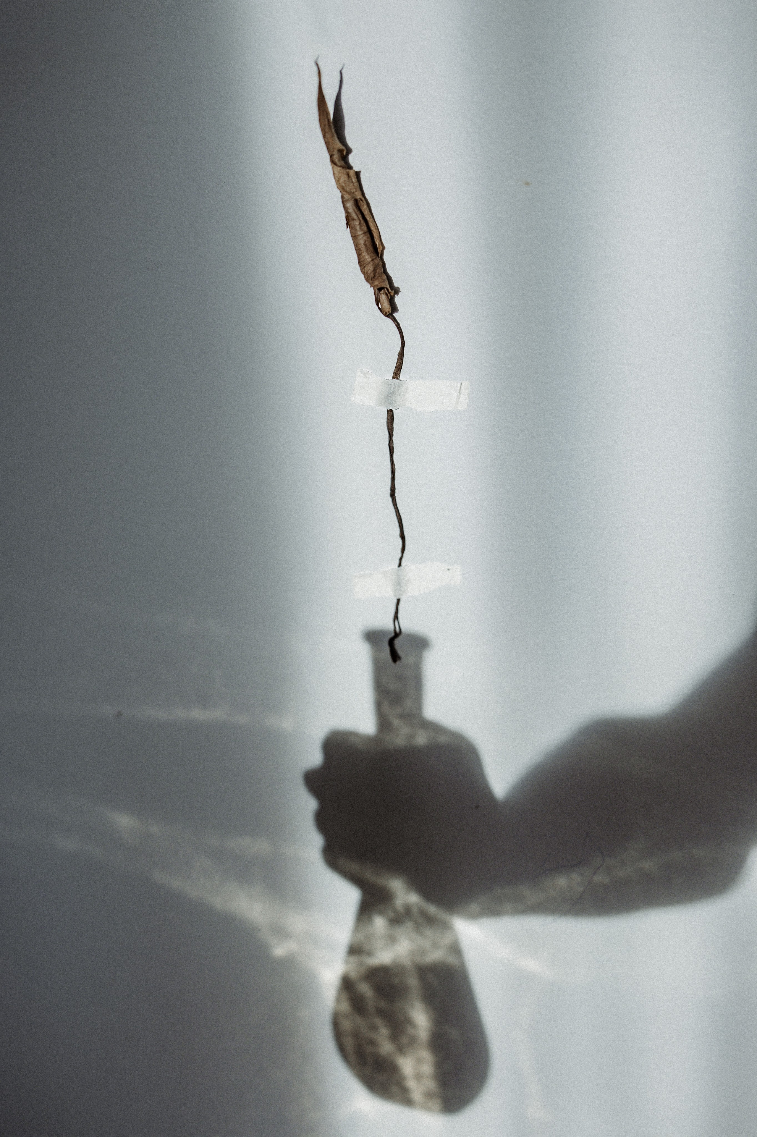 Съемка контента для SMM. Фотограф в Москве Черниговцева Анастасия