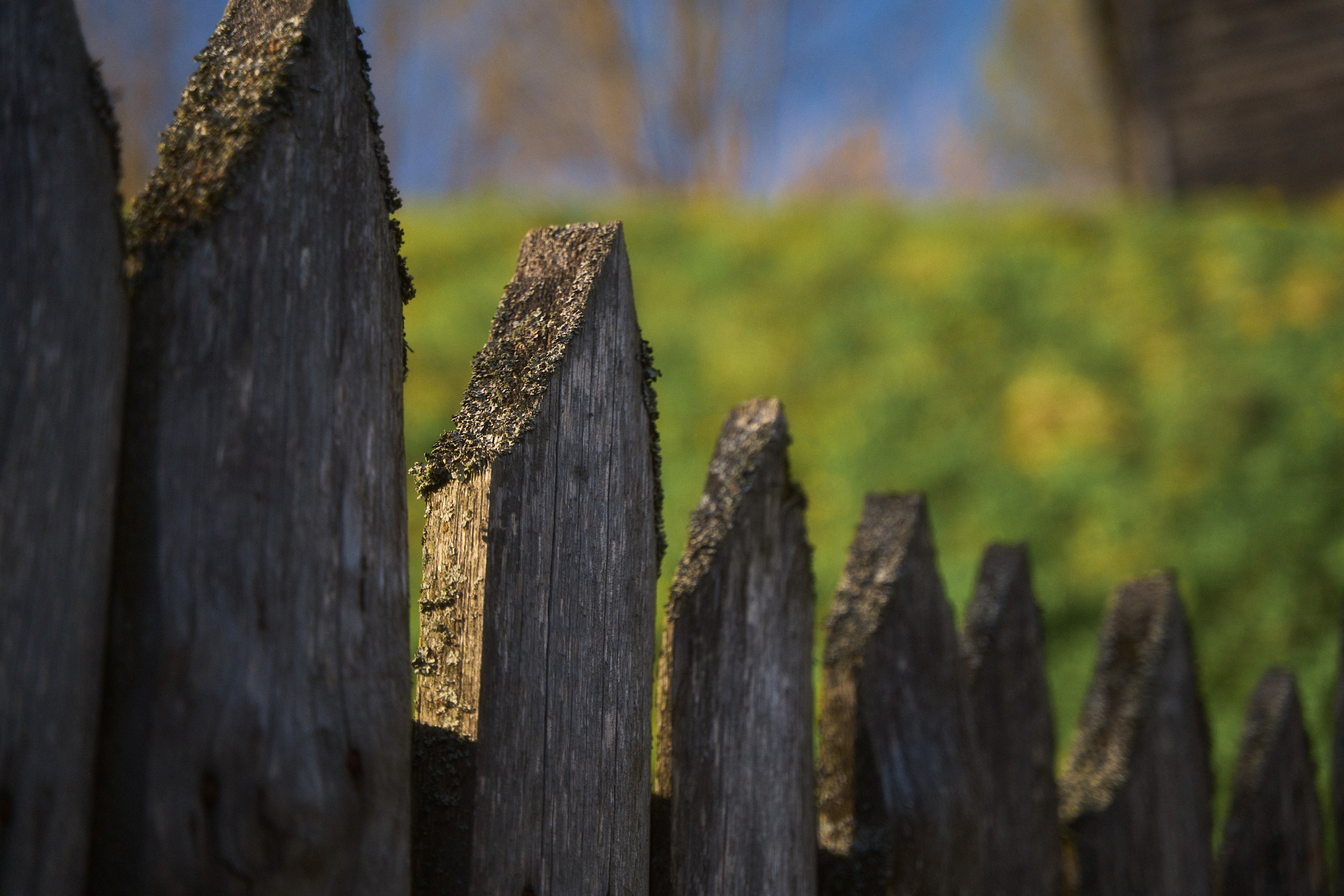 Весна в Торжке Апрель 2025