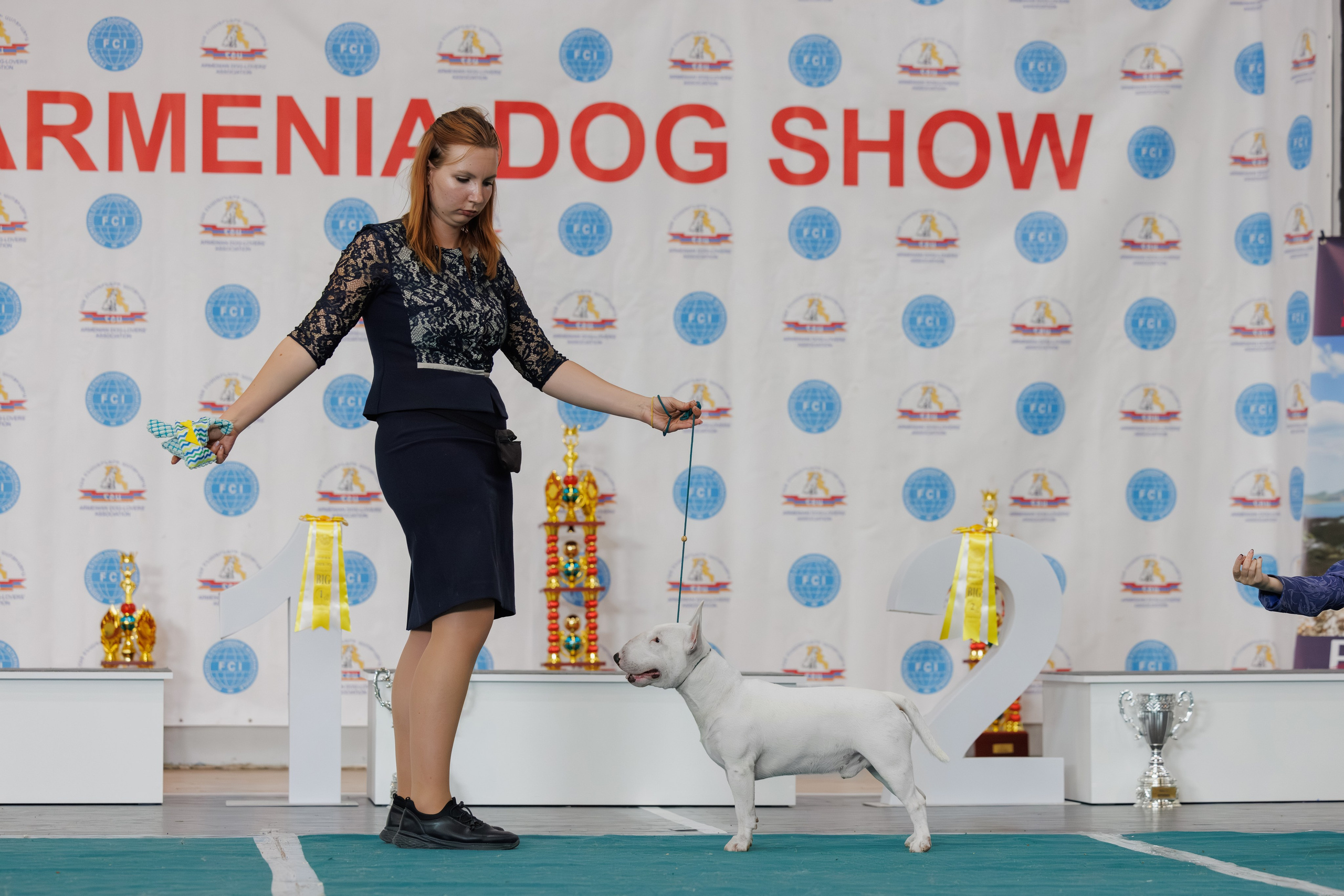 Ереван 2х CACIB 29-30.04.2025. Фотограф-анималист Юлия Германика