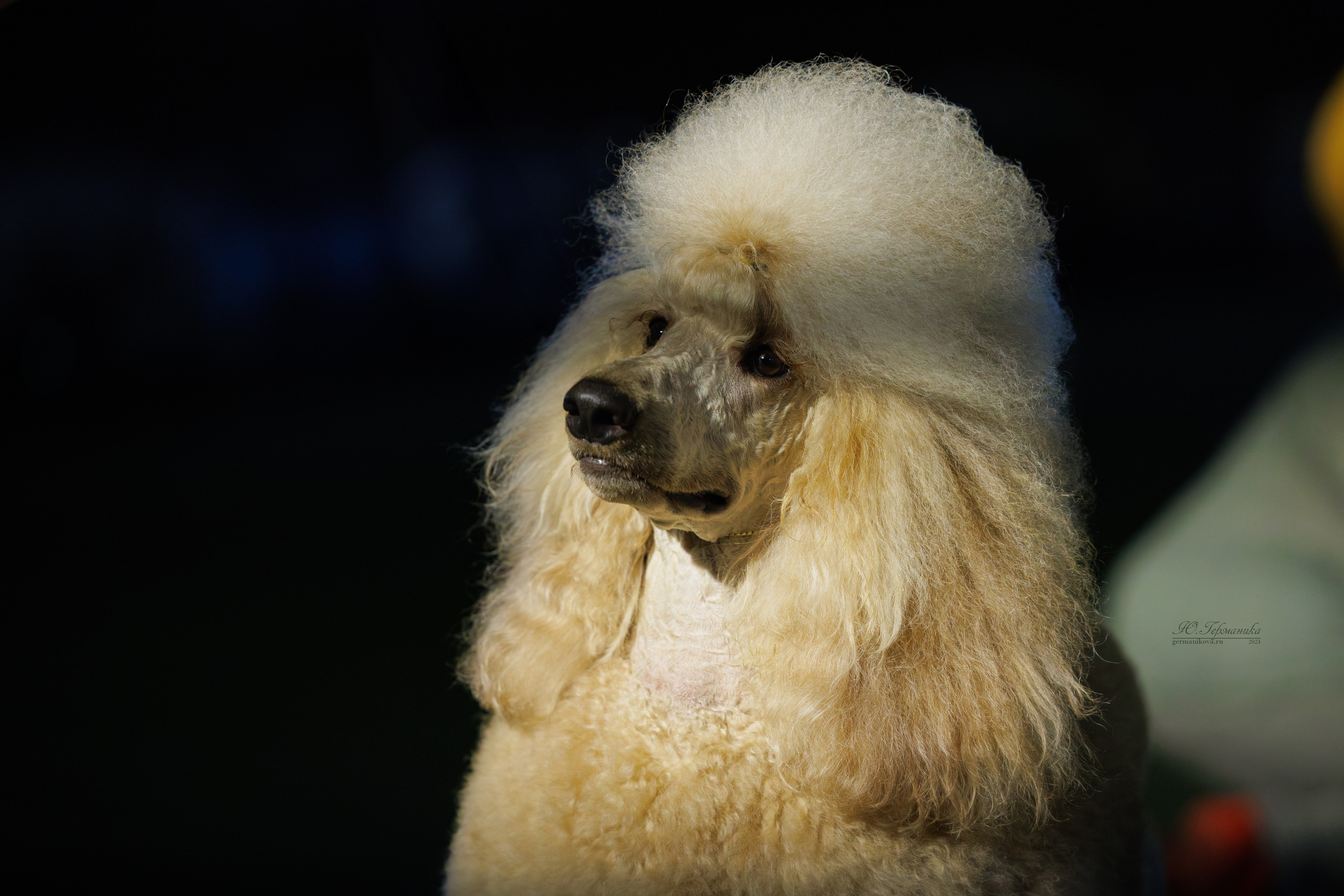 Волгоград 2-4.08.2024