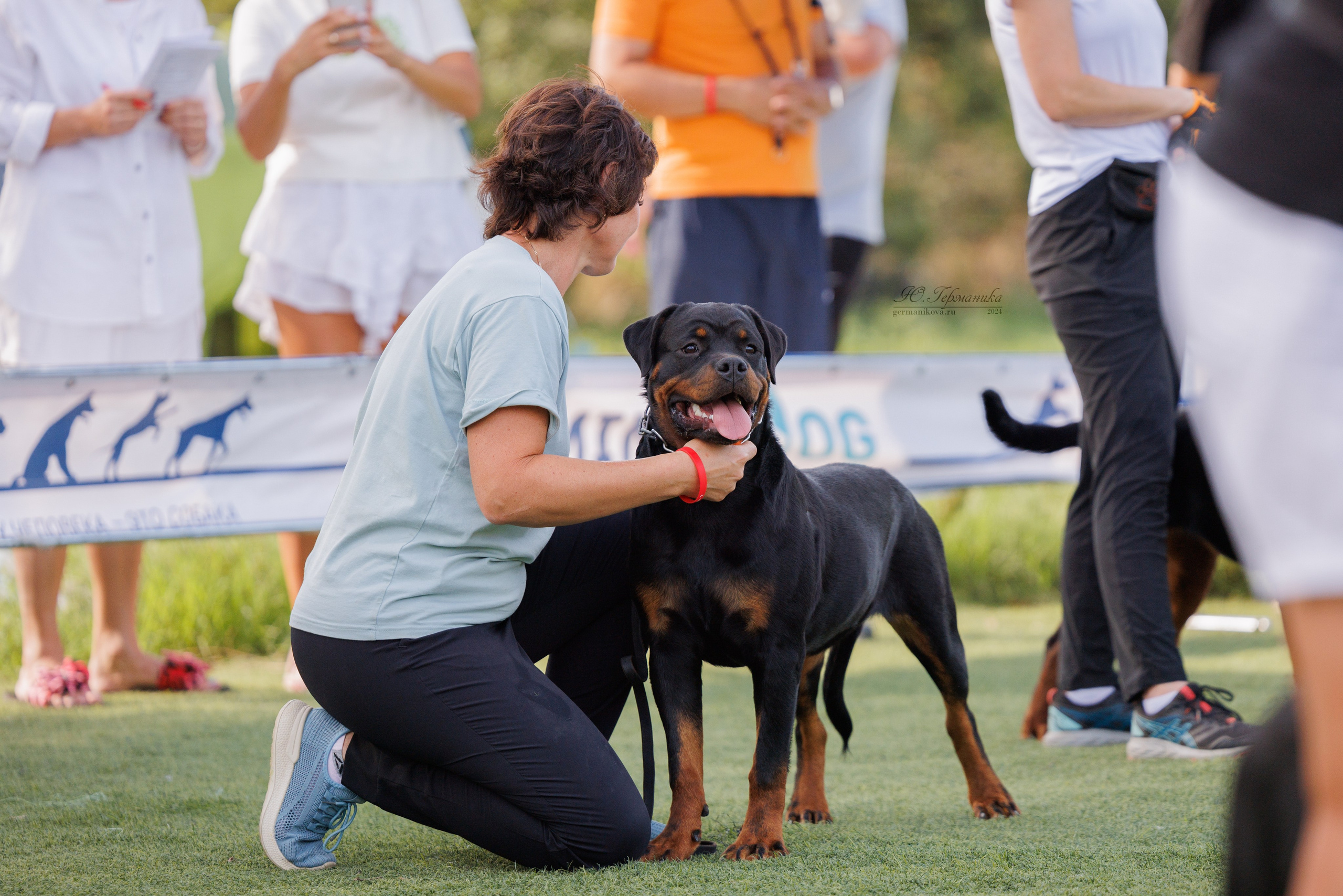 Анапа ротвейлеры 14-15.09.2024. Фотограф-анималист Юлия Германика