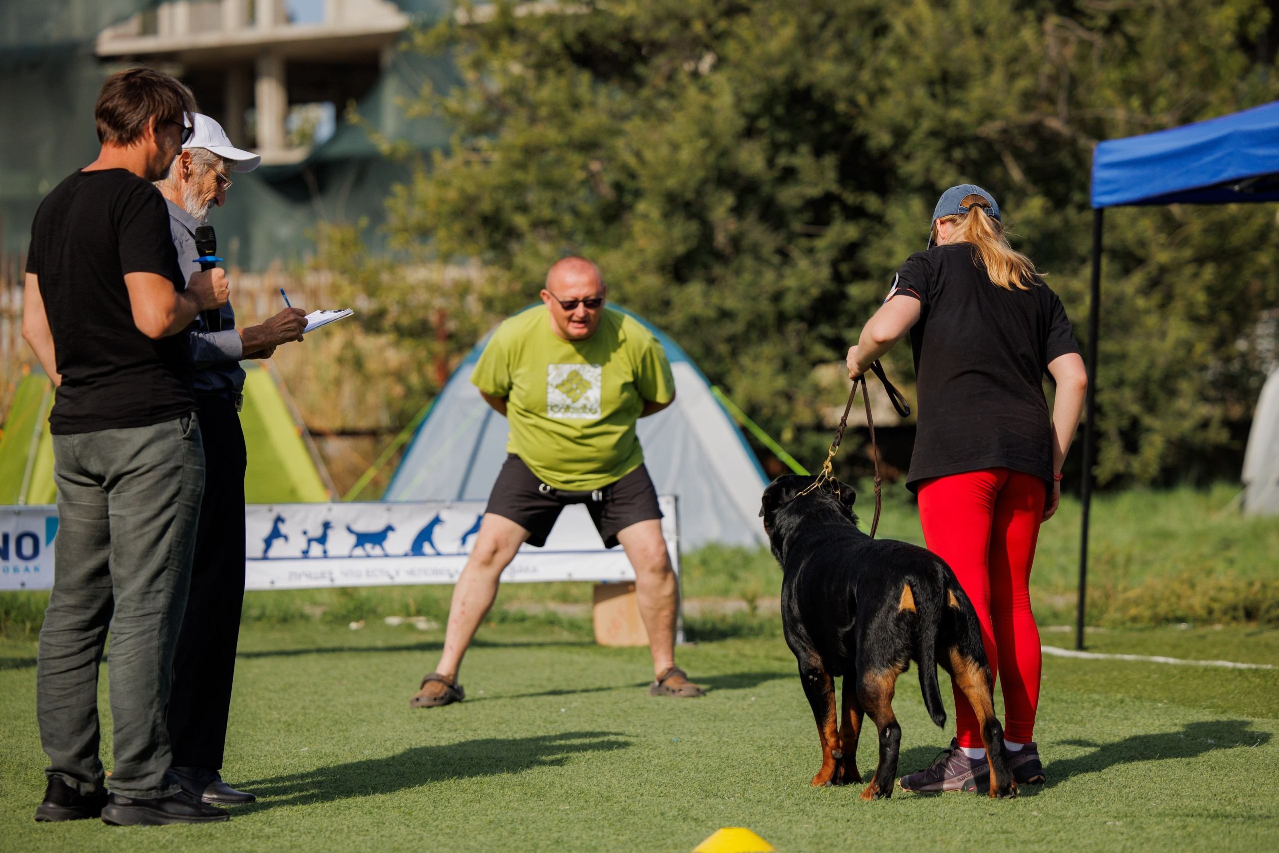 Анапа ротвейлеры 14-15.09.2024. Фотограф-анималист Юлия Германика