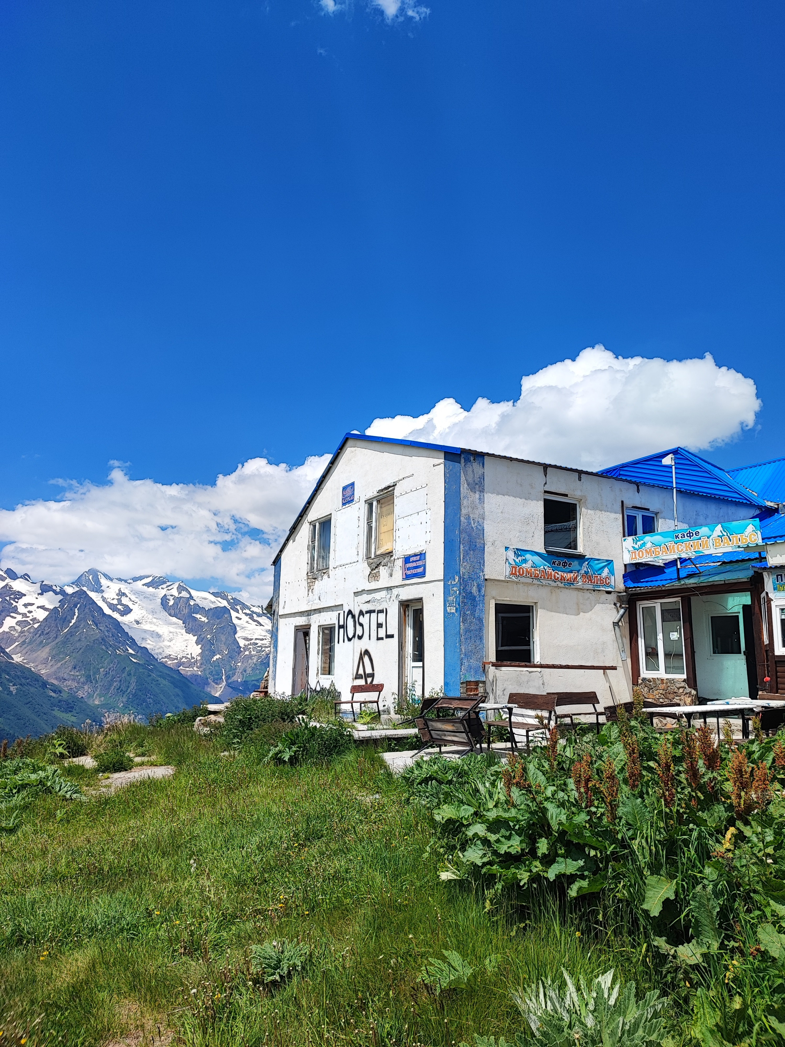 Намобилкус кавказский. Репортажный фотограф Алексей Пирязев